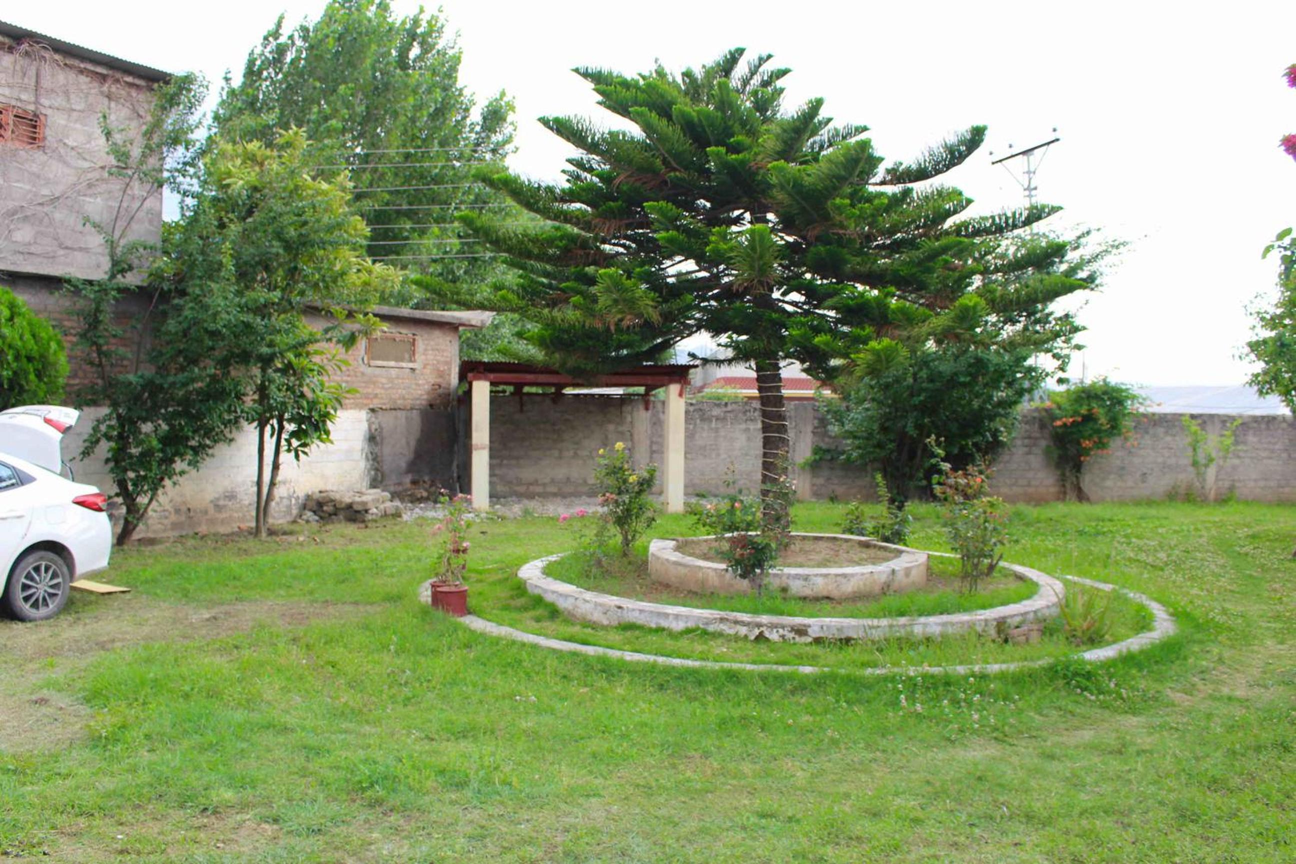 Photo 13