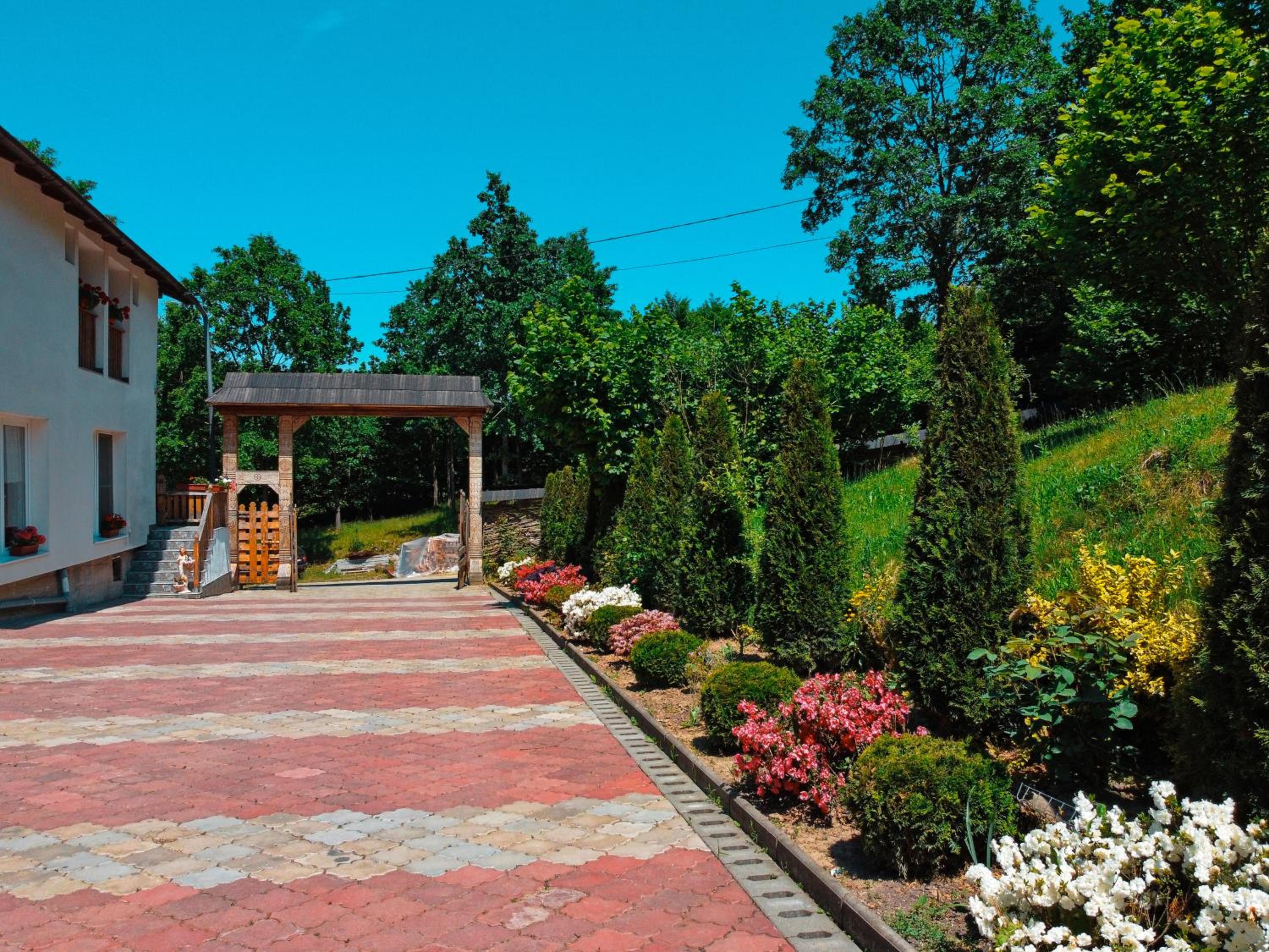 Casa Papițu view 4