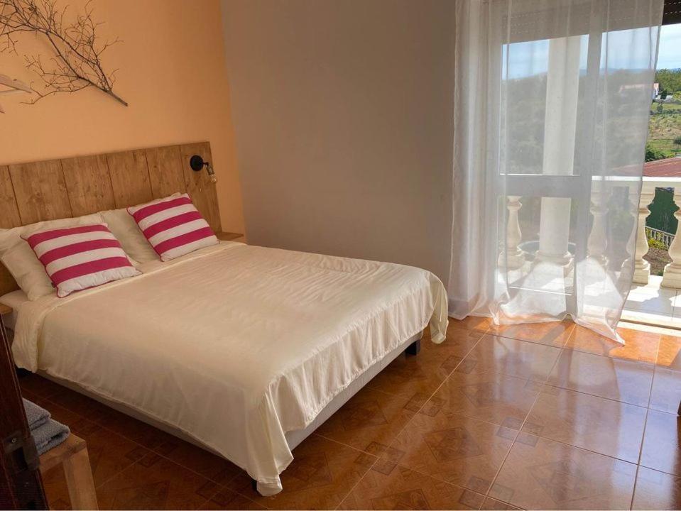 Casa da Rosa view 4
