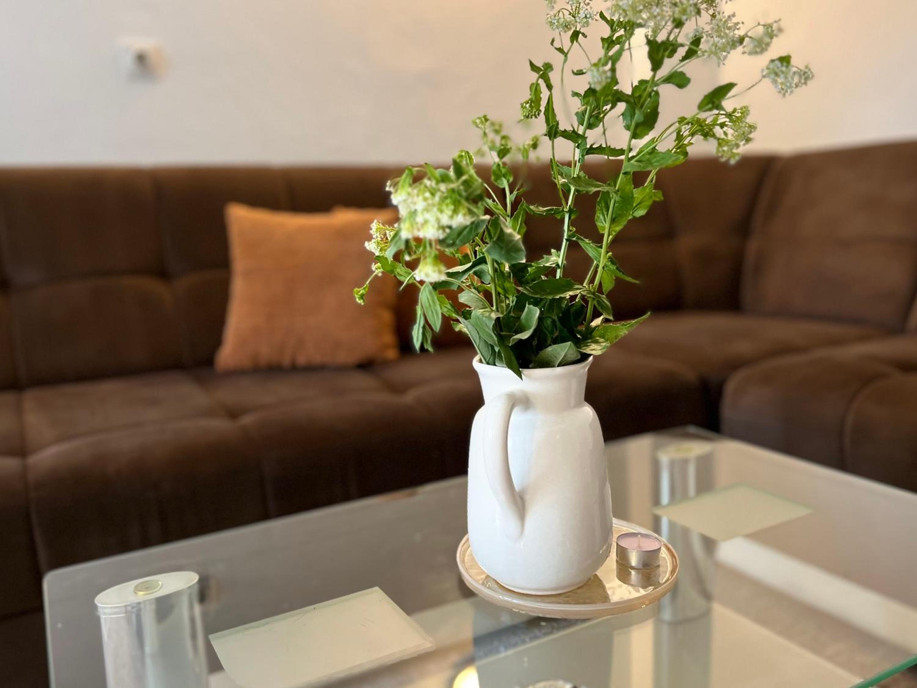 Green apartment Sarajevo