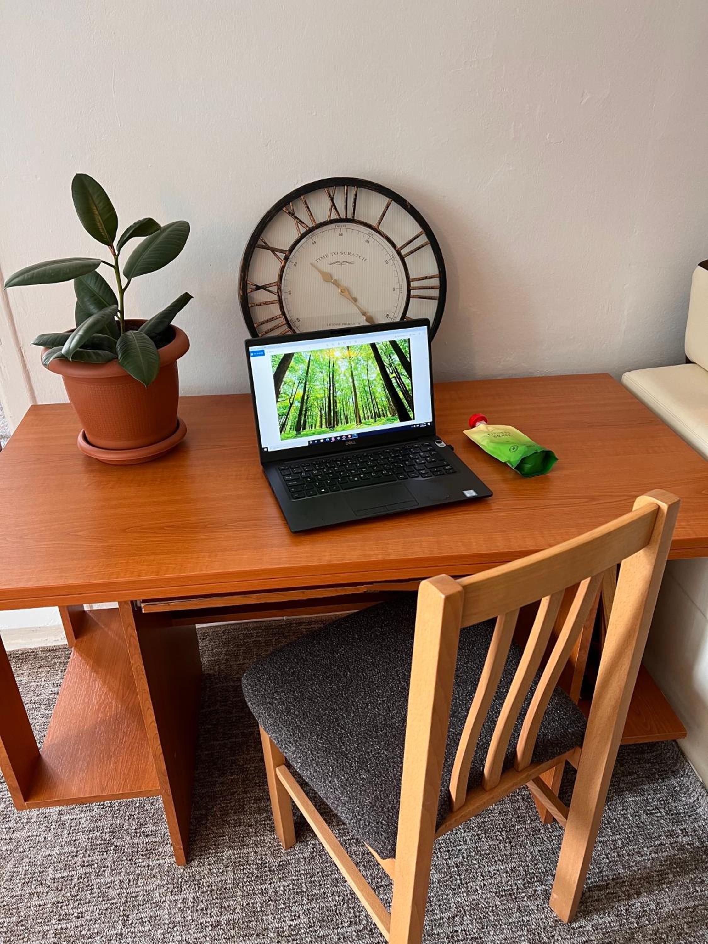 Green apartment Sarajevo