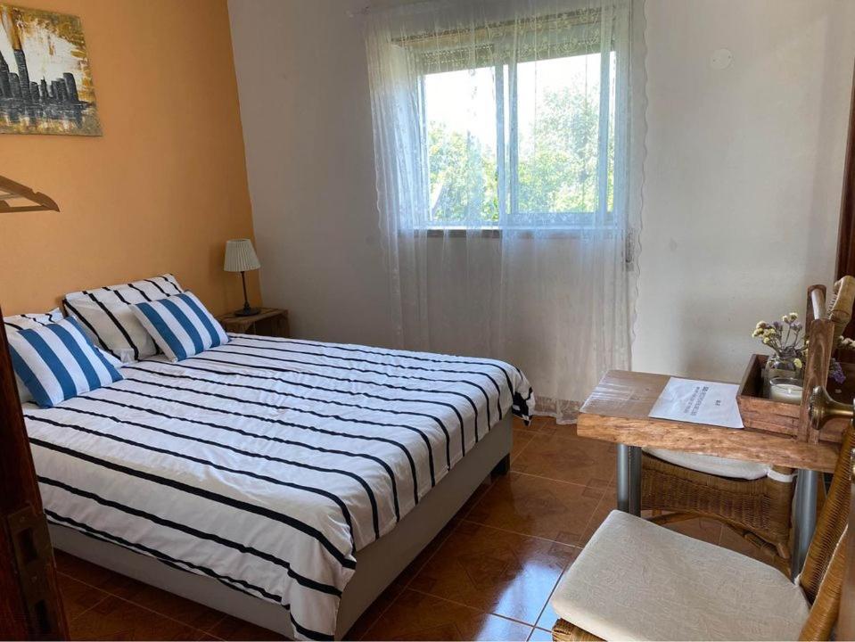 Casa da Rosa view 2