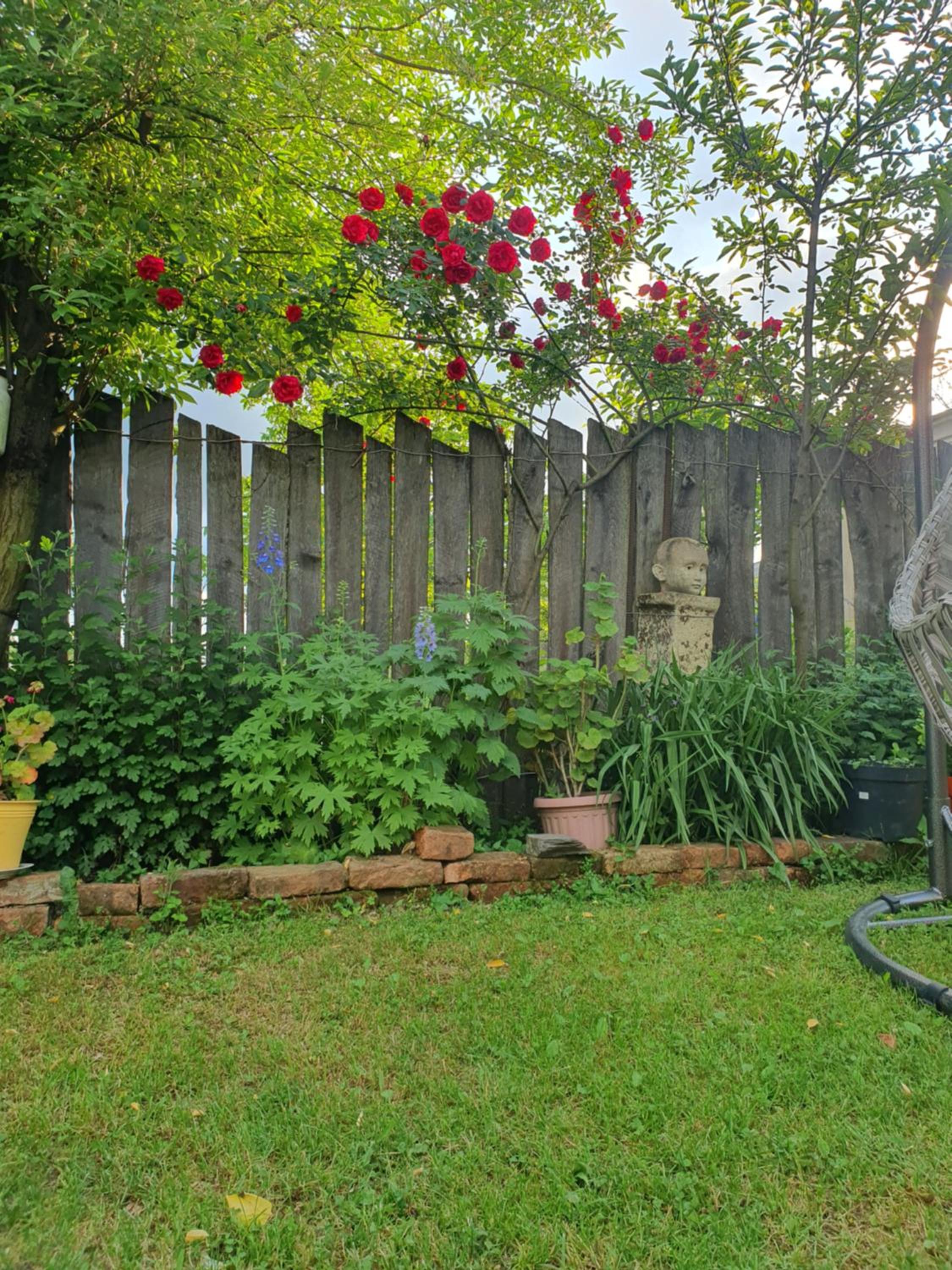 Photo 43