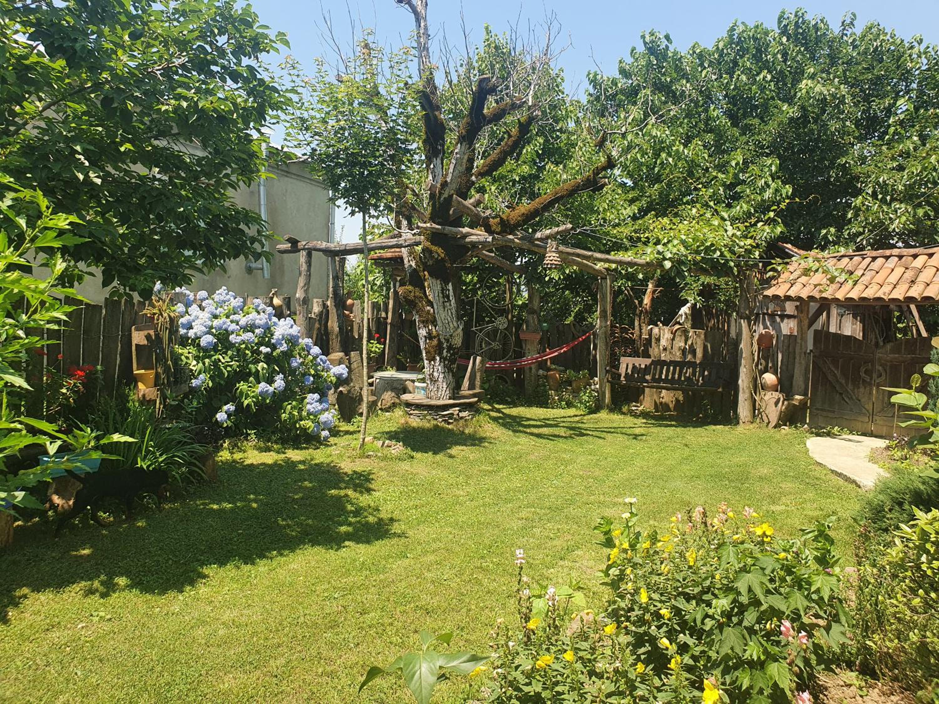 Photo 12
