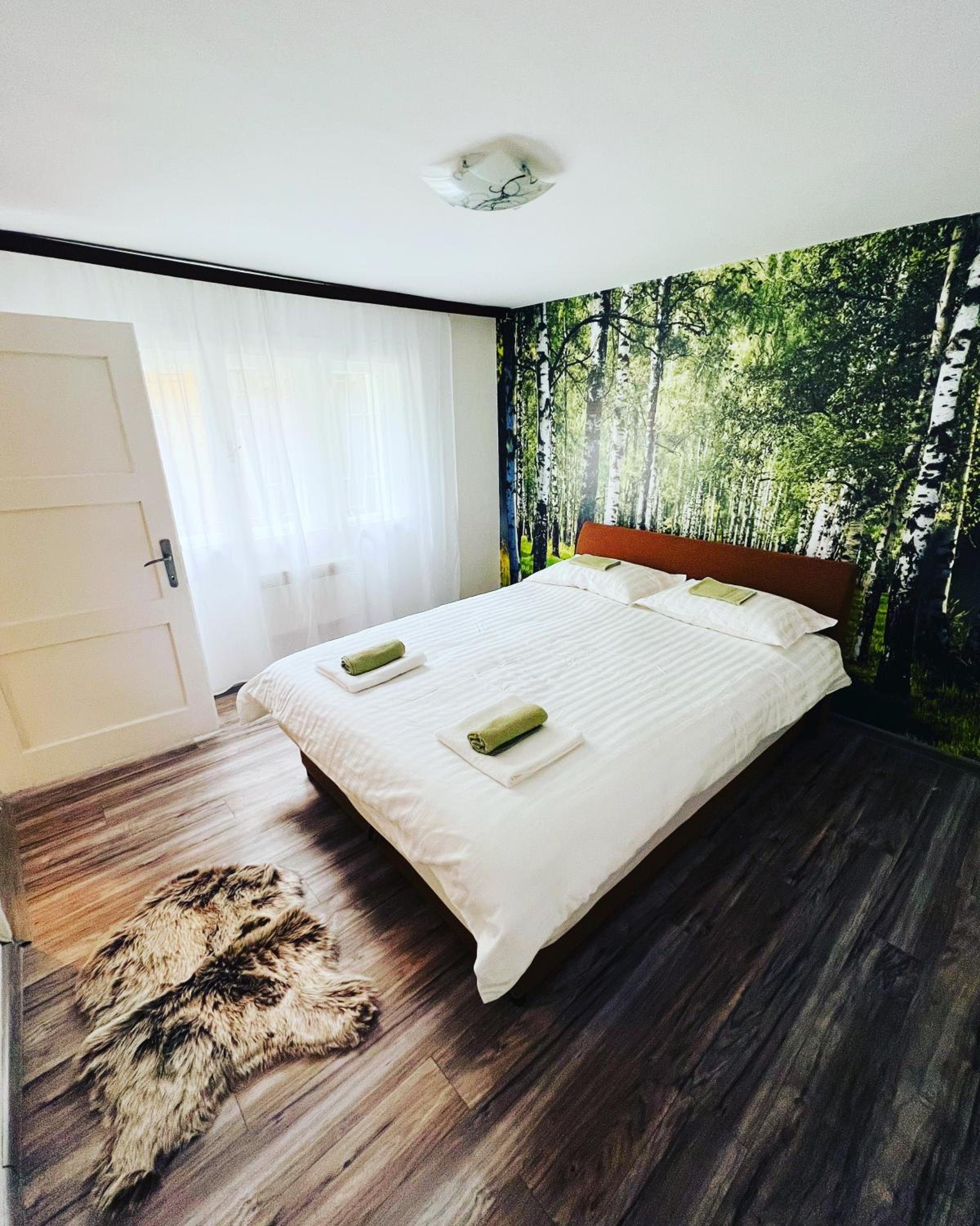 Green apartment Sarajevo