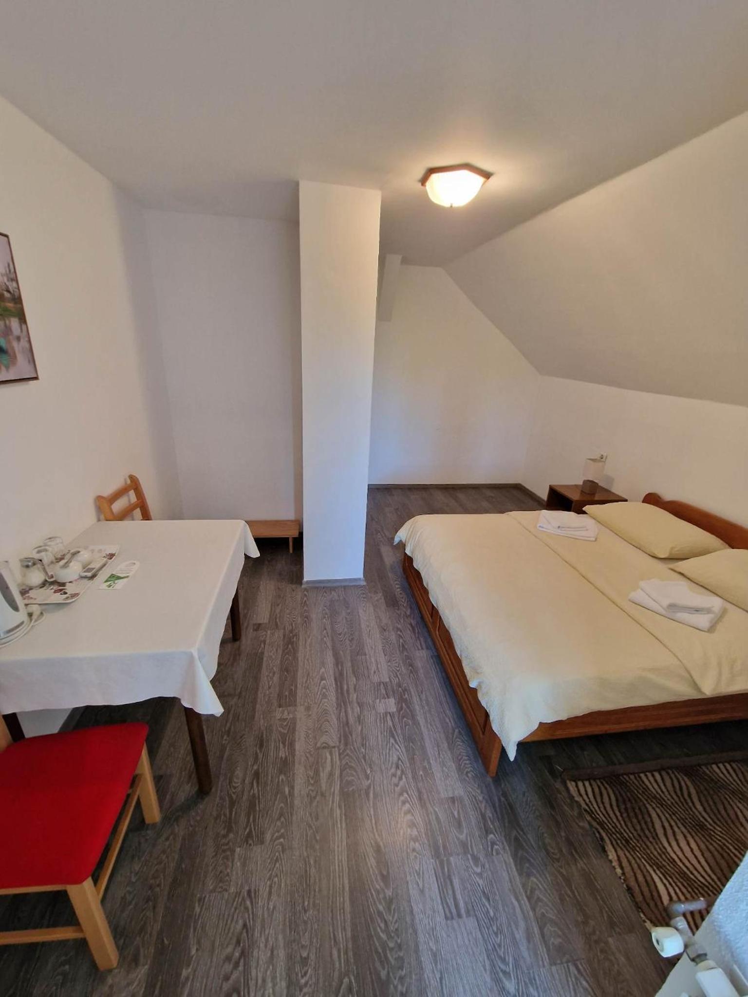 SOBE I APARTMAN VUK view 4