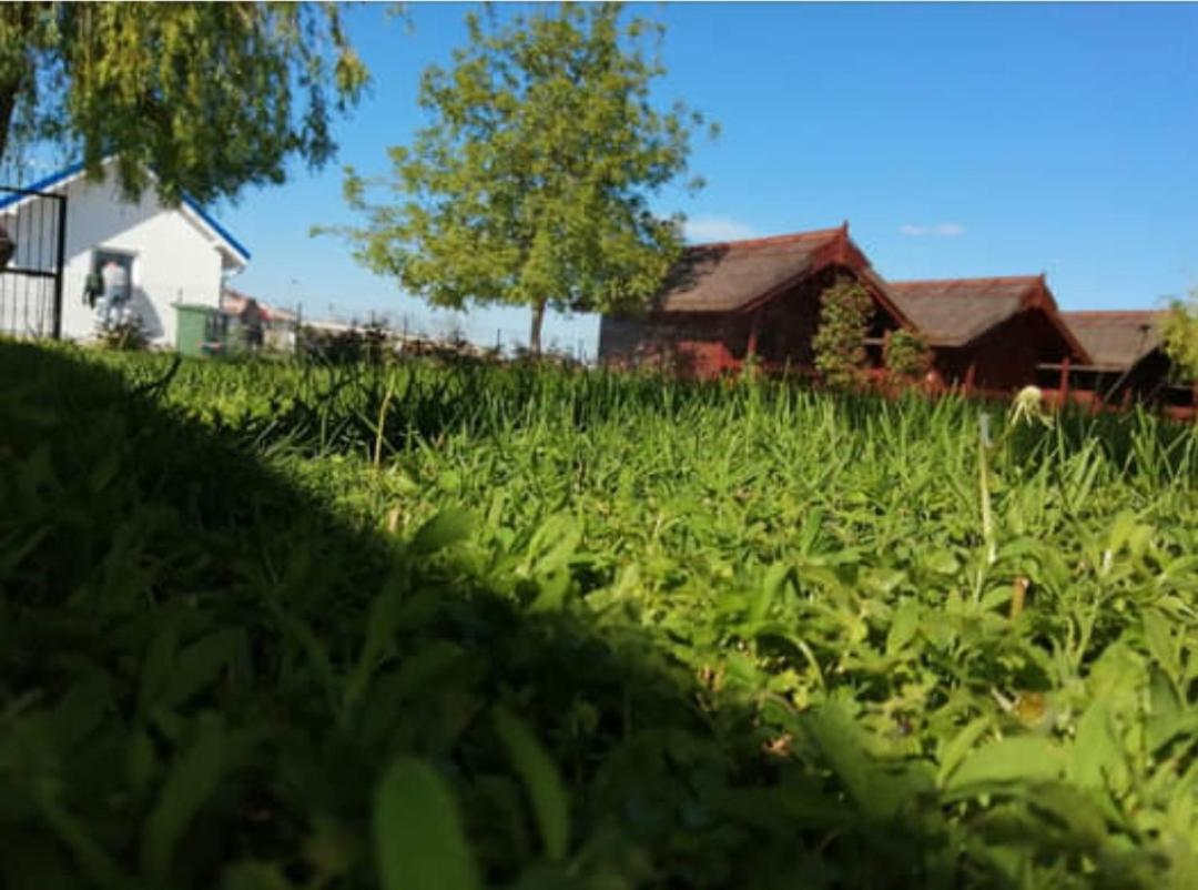 La Tavi casute tip camping view 5