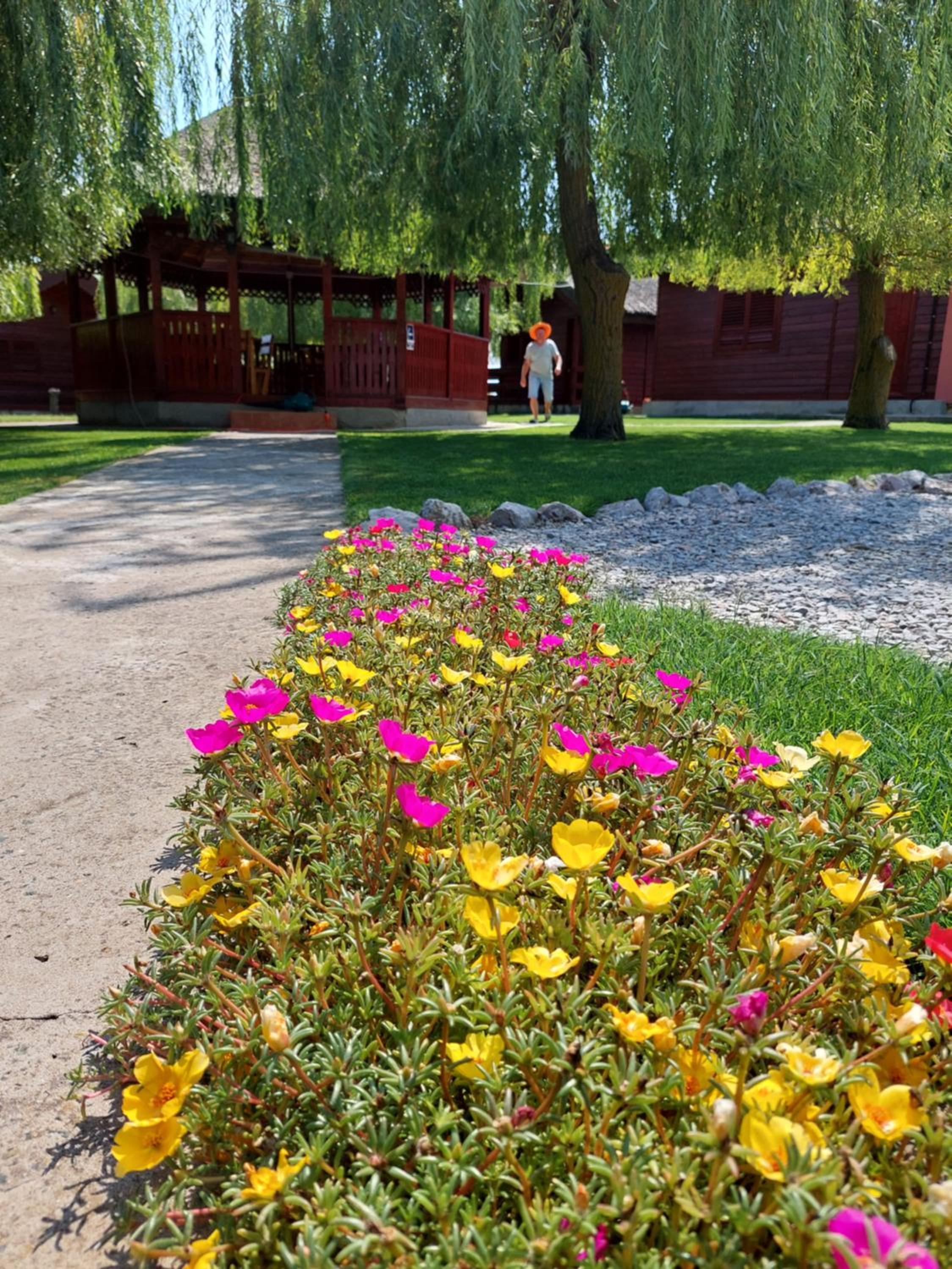 Photo 21