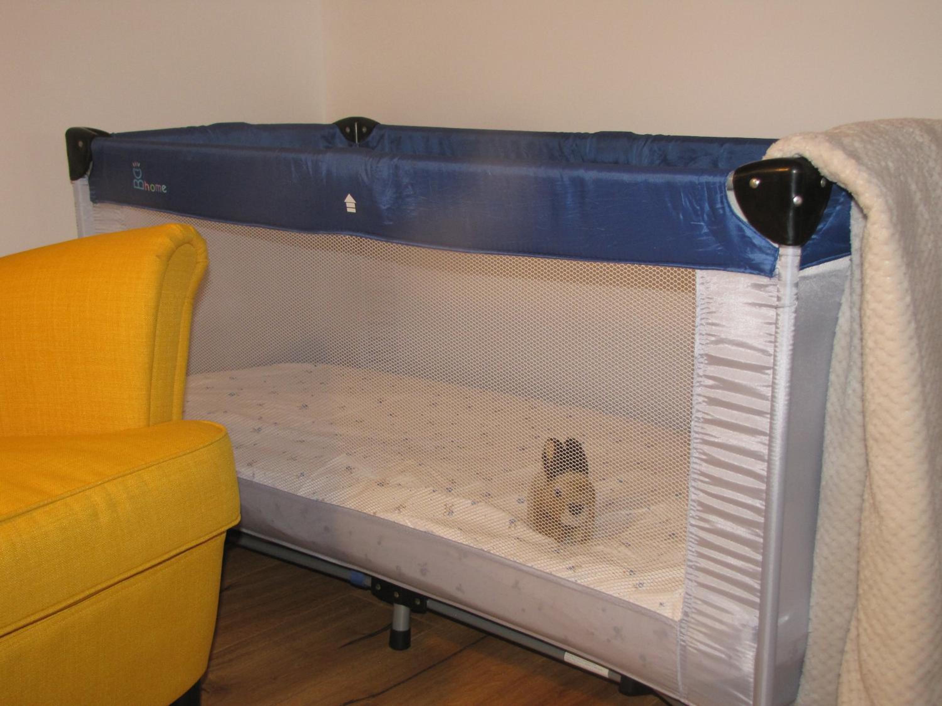 Janina's Dragonfly house, photo 12