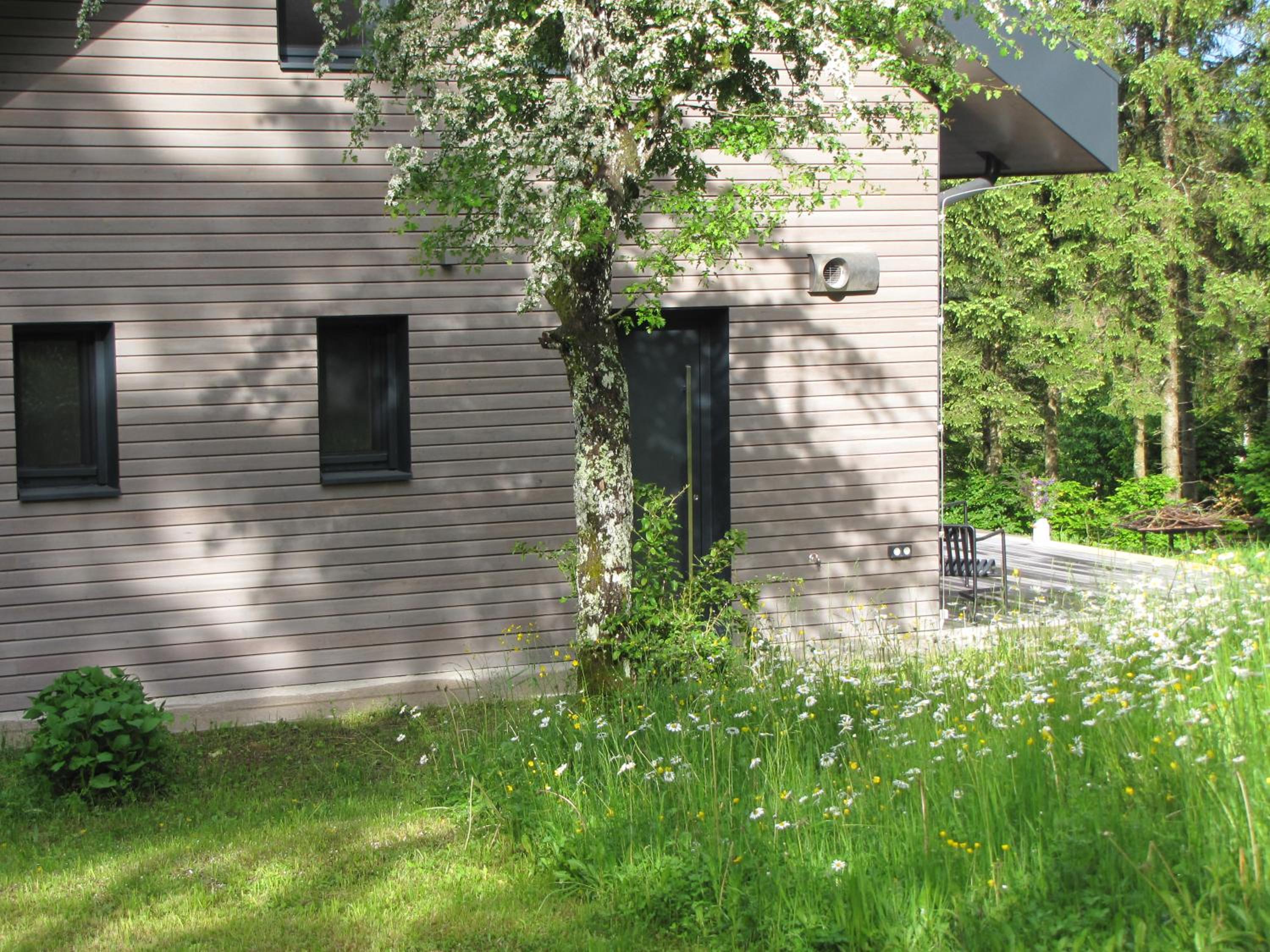 Janina's Dragonfly house, photo 22