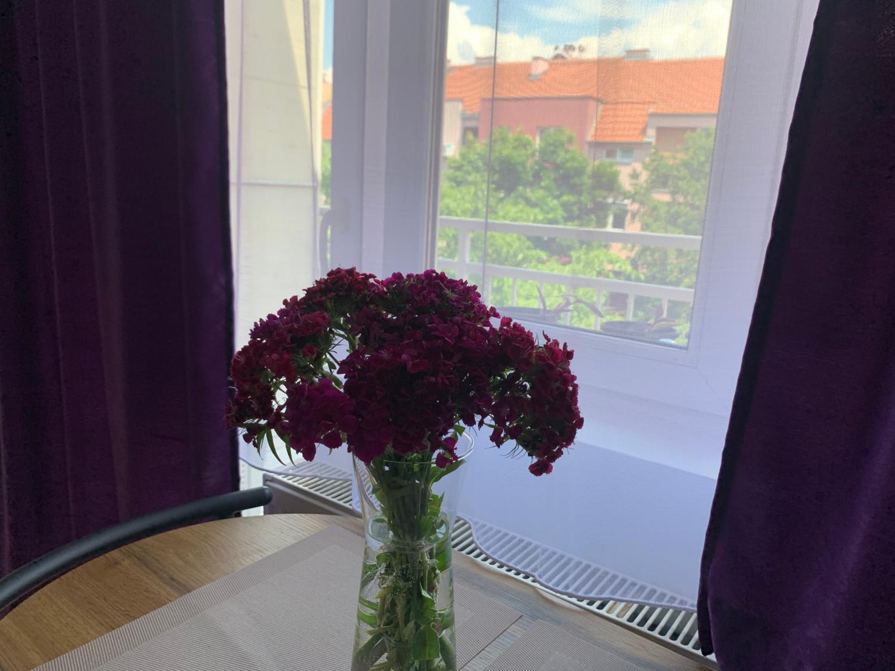 Studio Apartman HERA