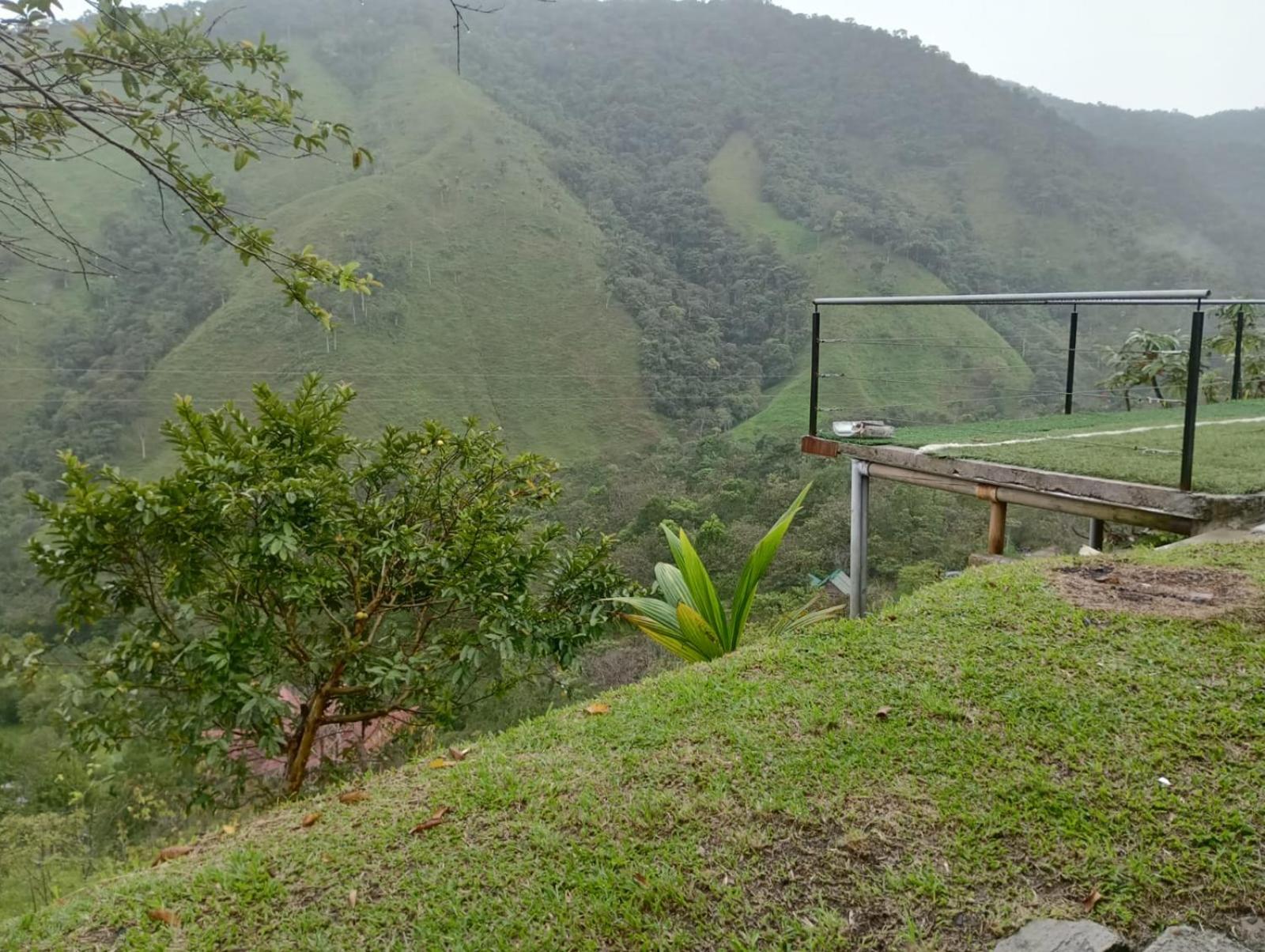 FINCA EL ALTO