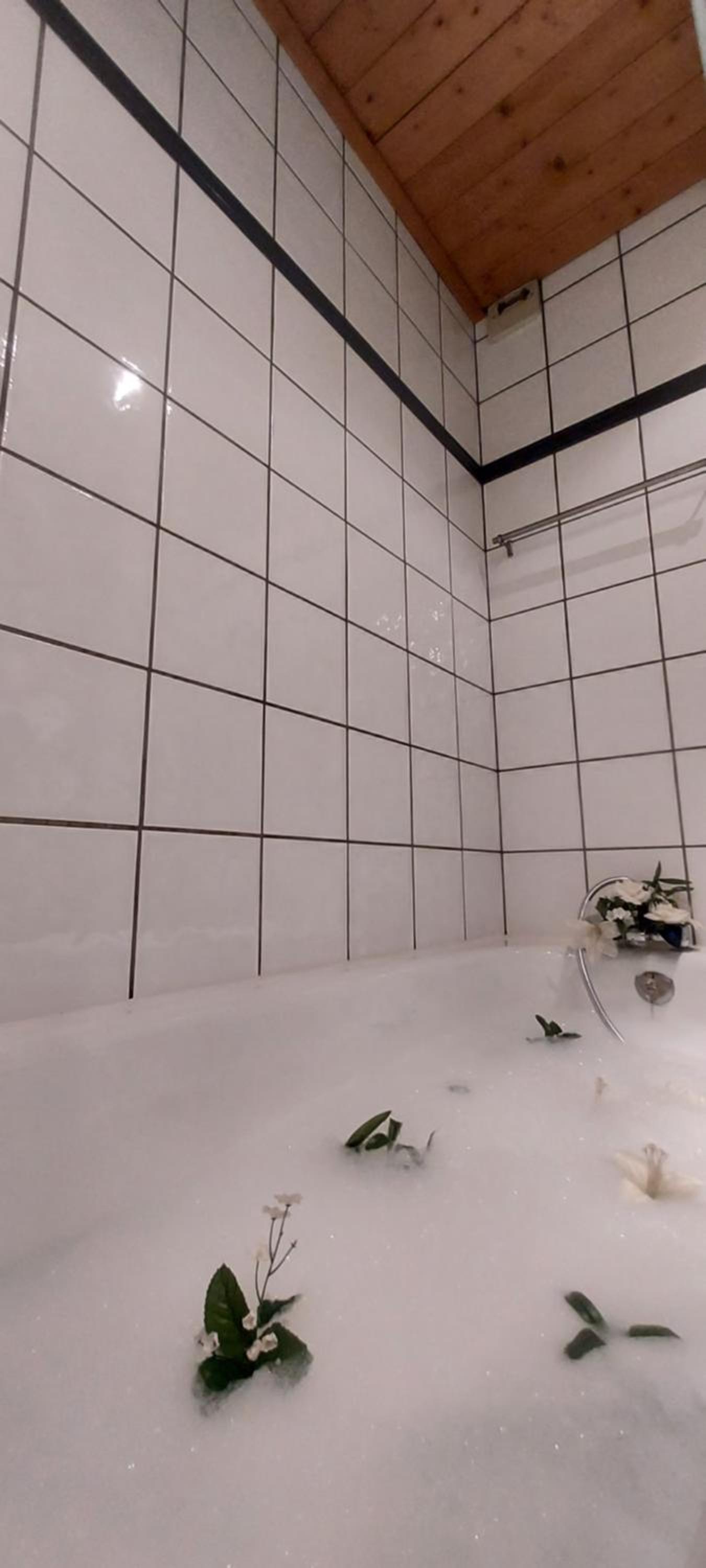 Photo 34