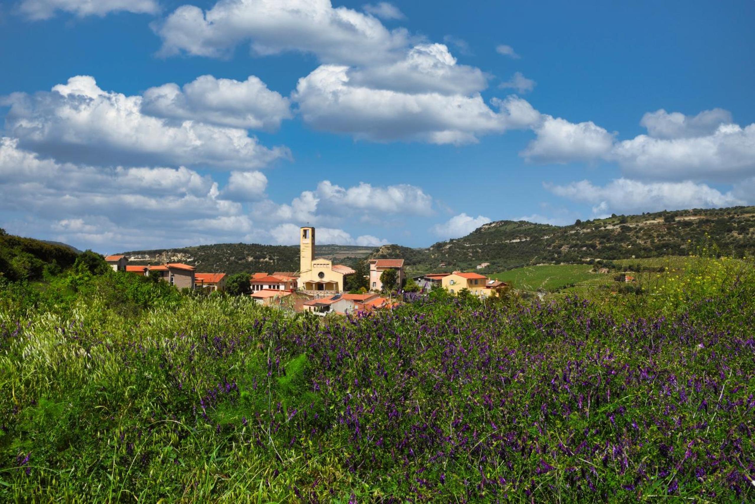 ARCU DE CHELU - GUEST HOUSE view 4