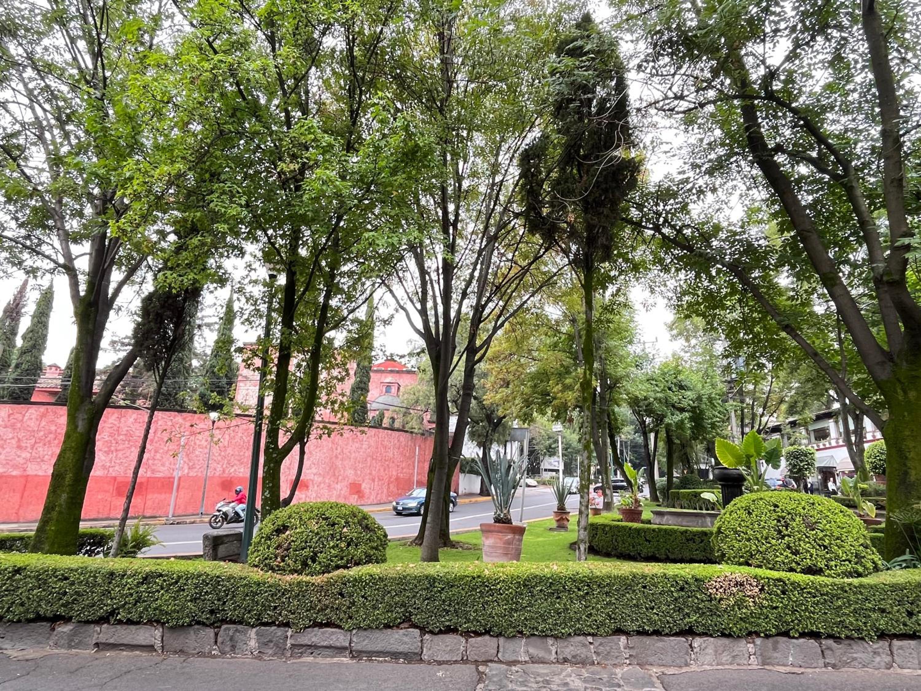 Photo 45