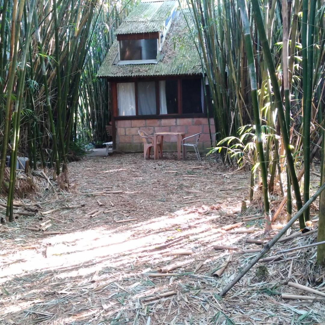 Cabana Bambu view 4