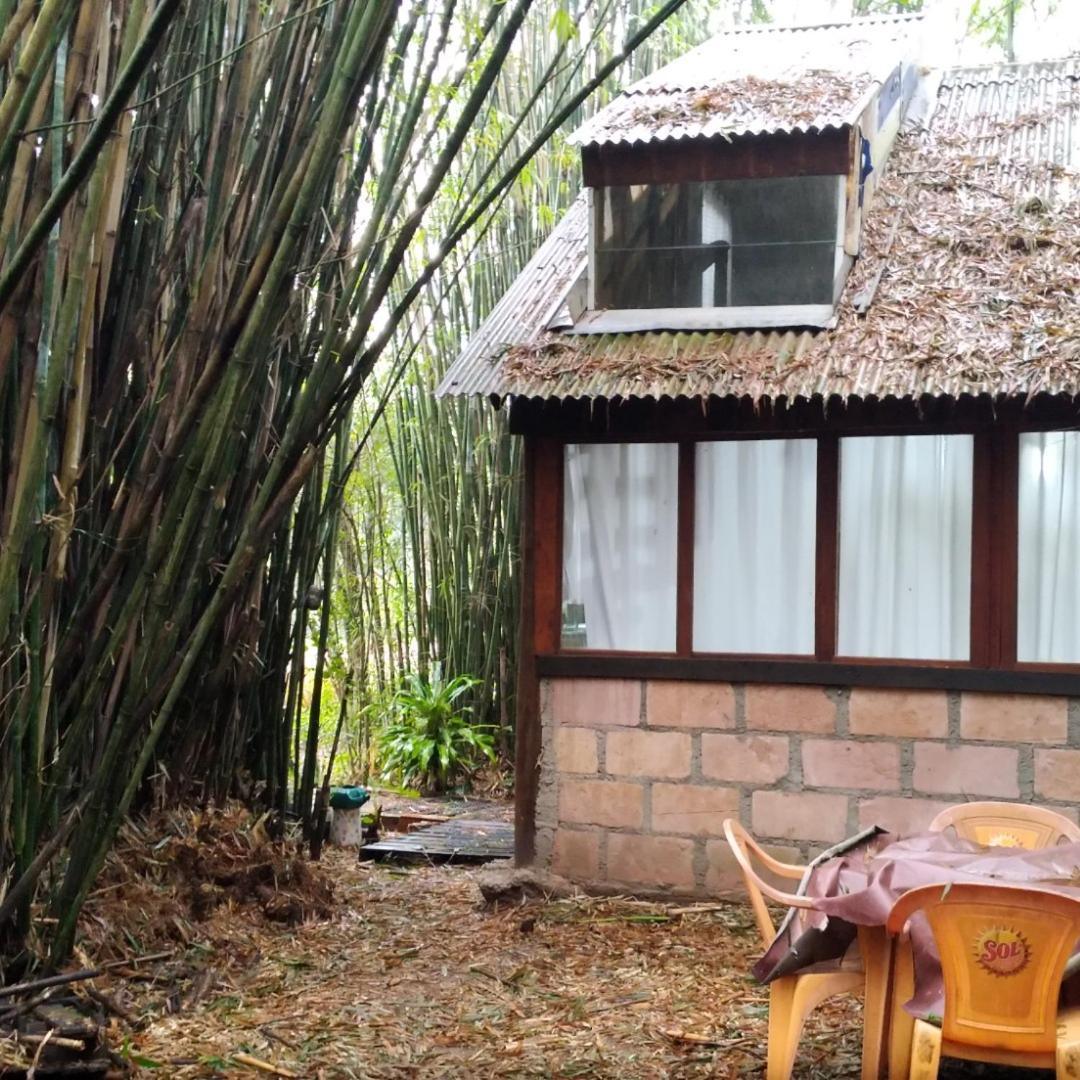 Cabana Bambu view 5