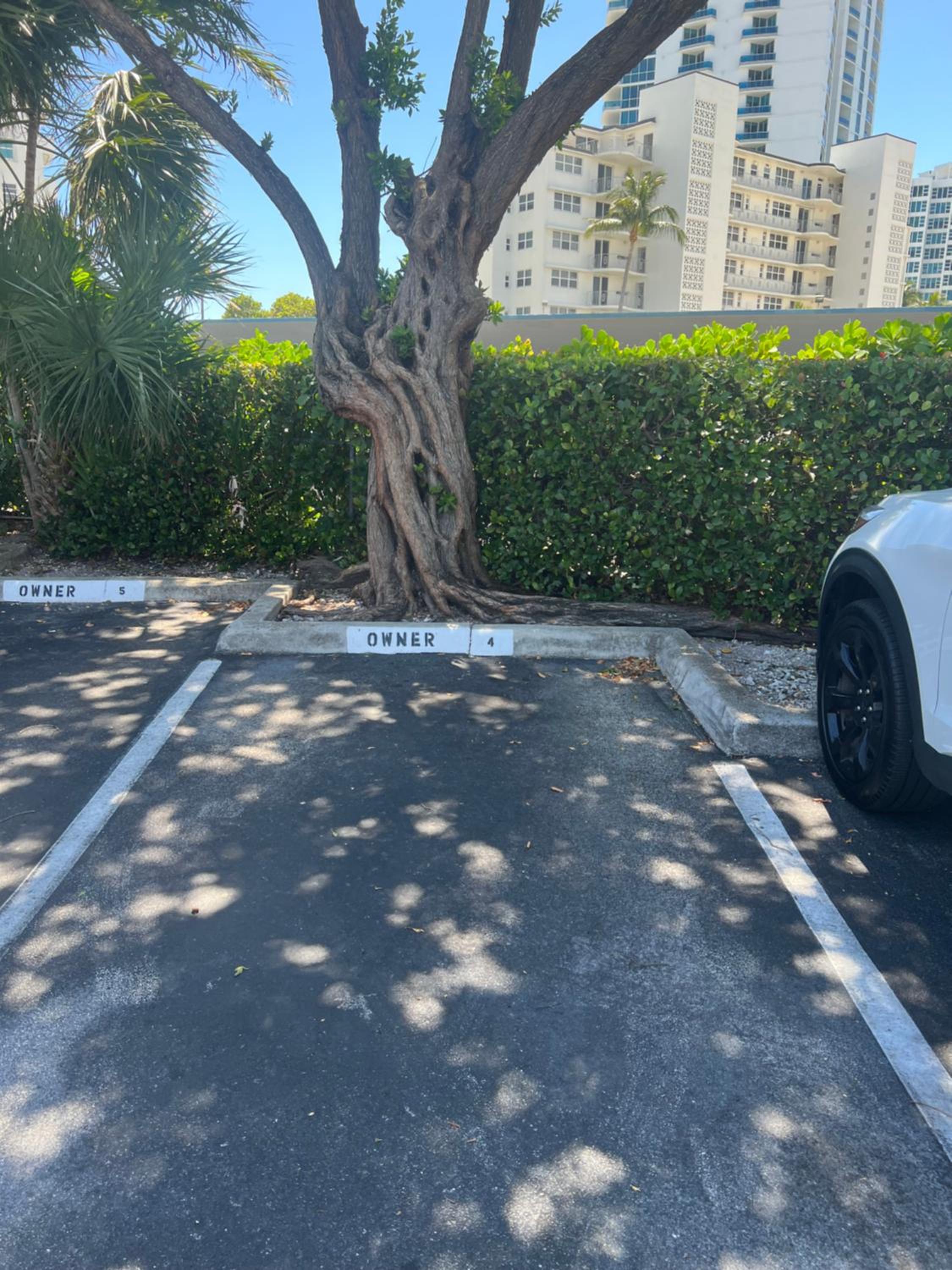 parking