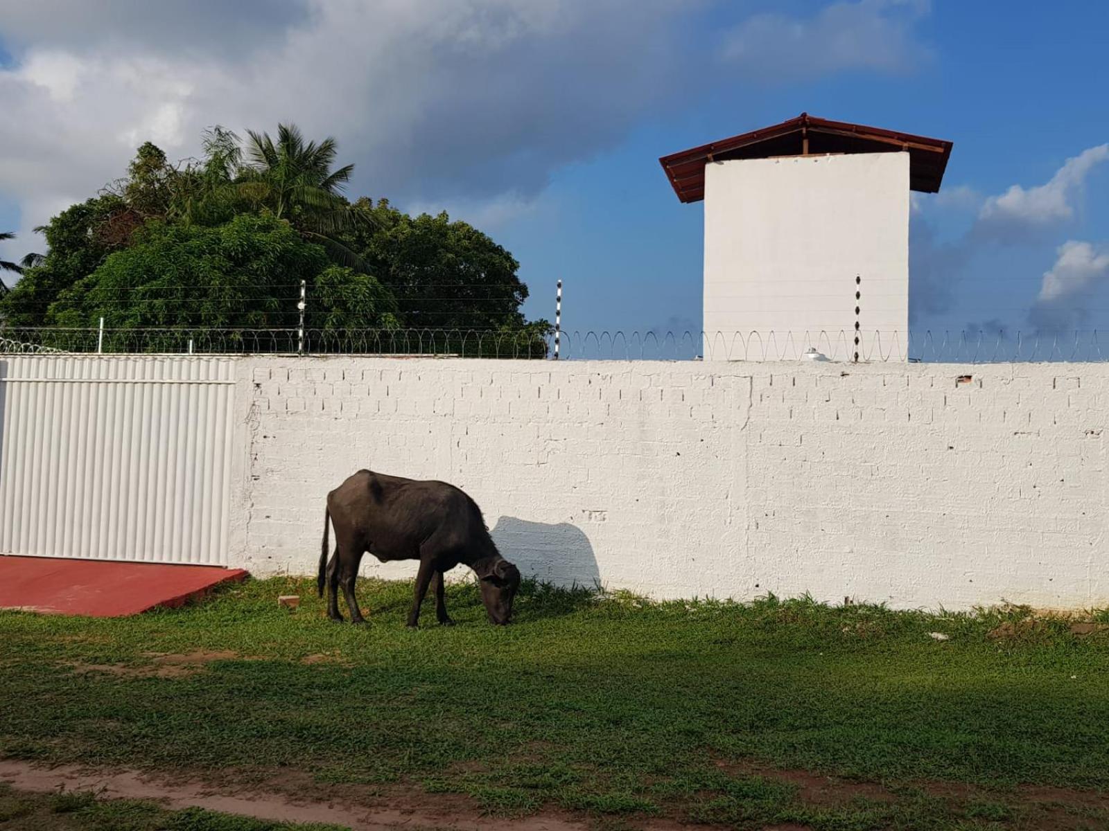 Casa Mangue