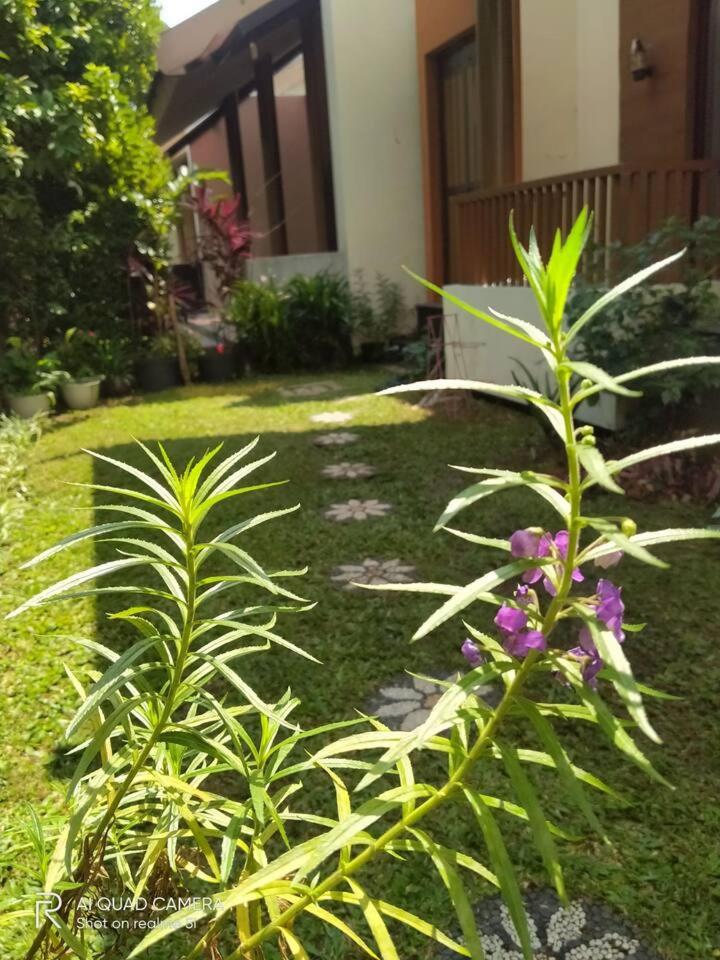 Photo 49