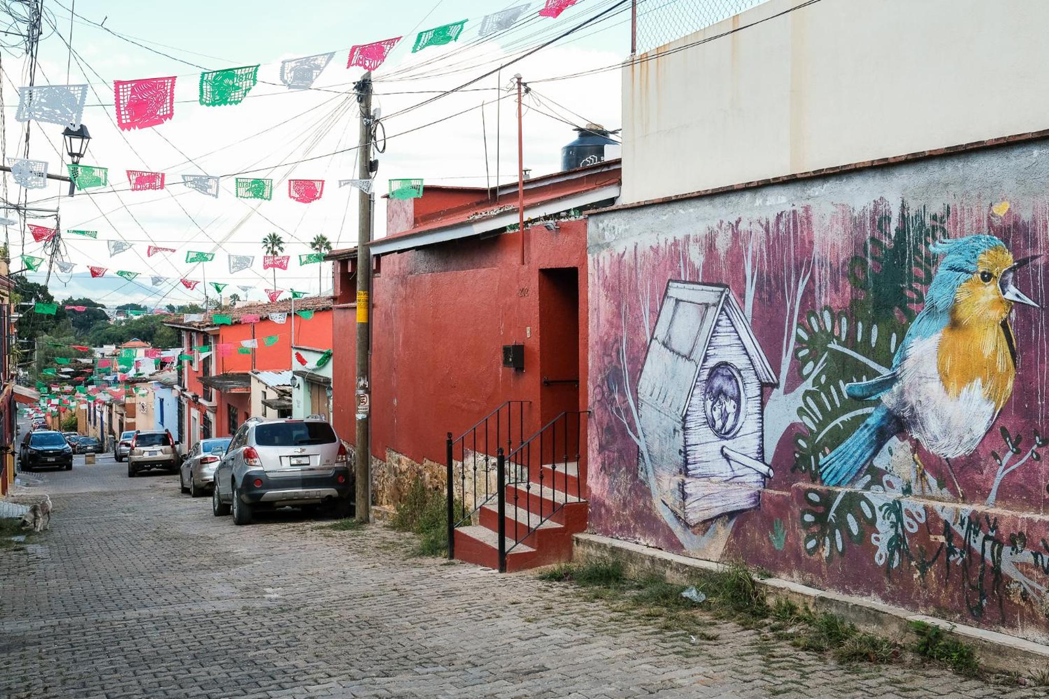 Photo 41