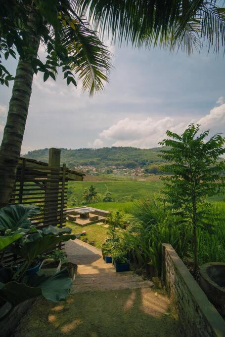 Villa Cetok Syariah - Nuansa Pedesaan view 5