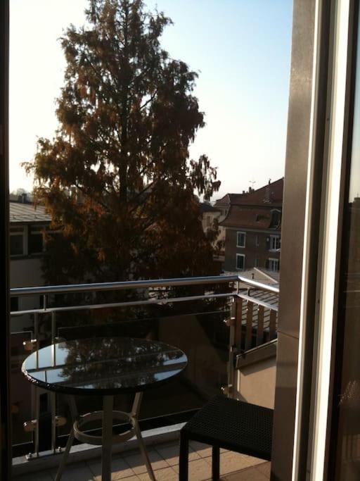 Beautiful Top Floor Apartment with Lake View