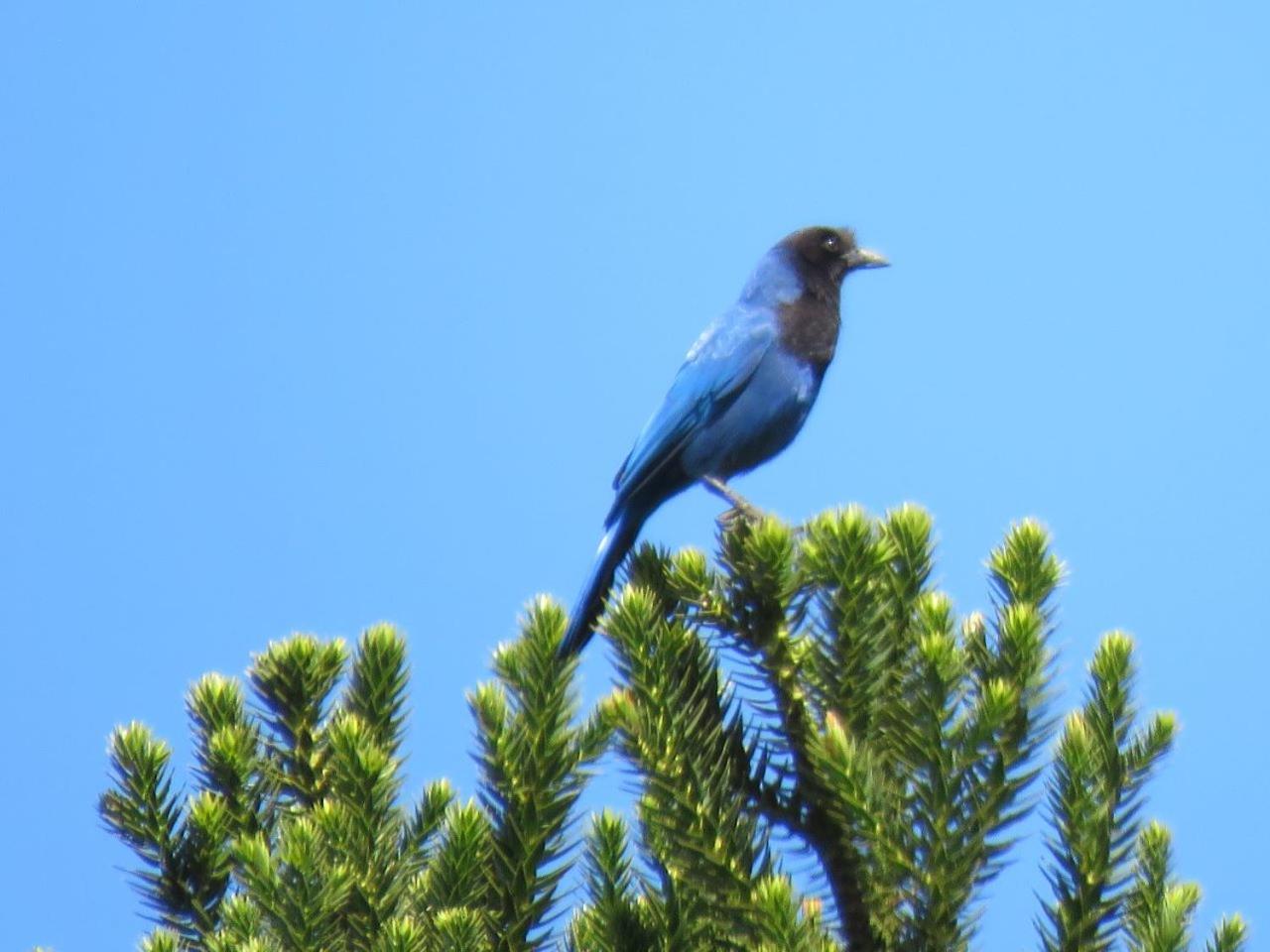 Parque Nacional EcoResort