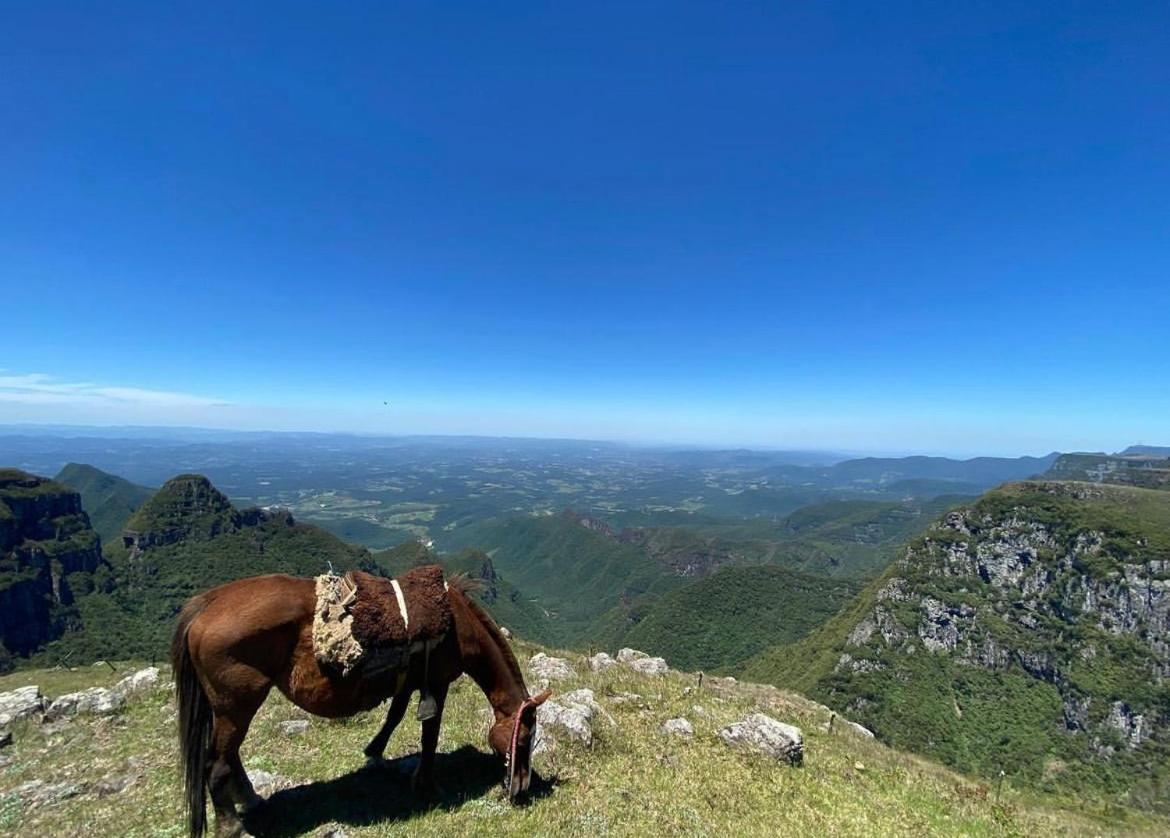 Parque Nacional EcoResort