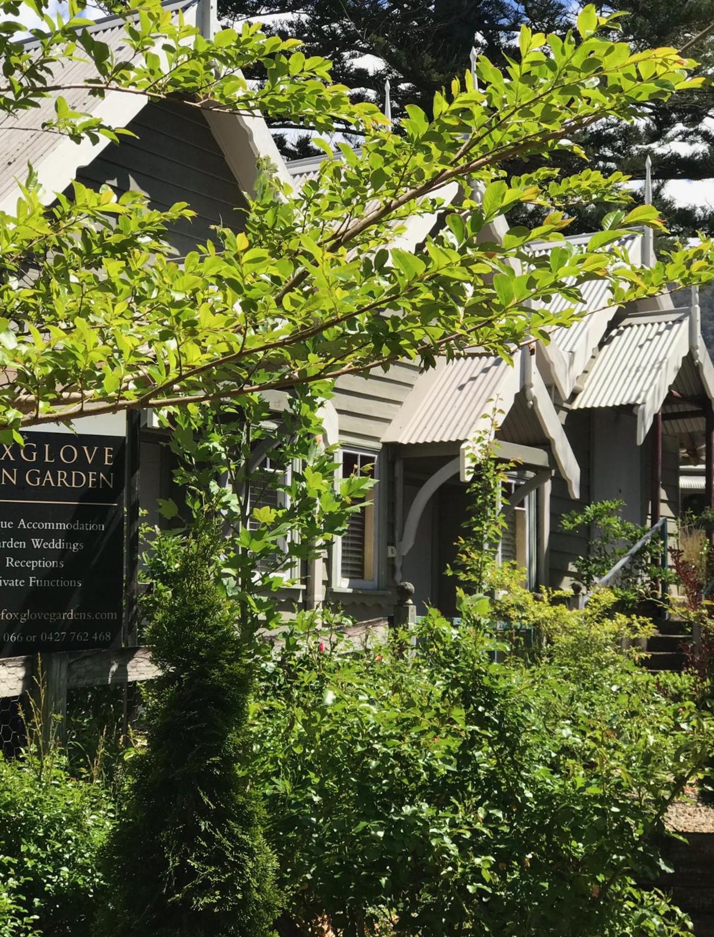 Olive Tree Cottage