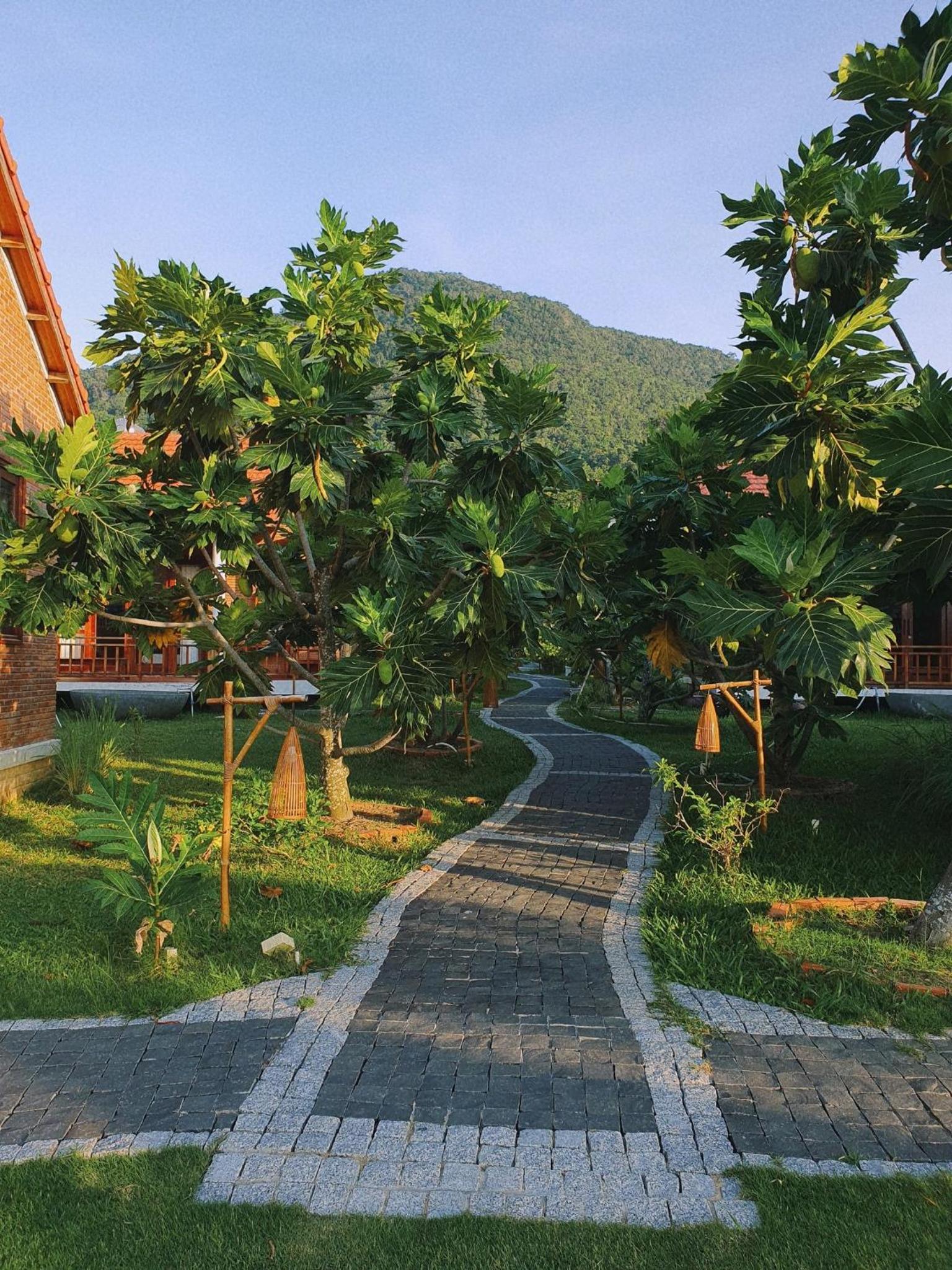 Lotus Home