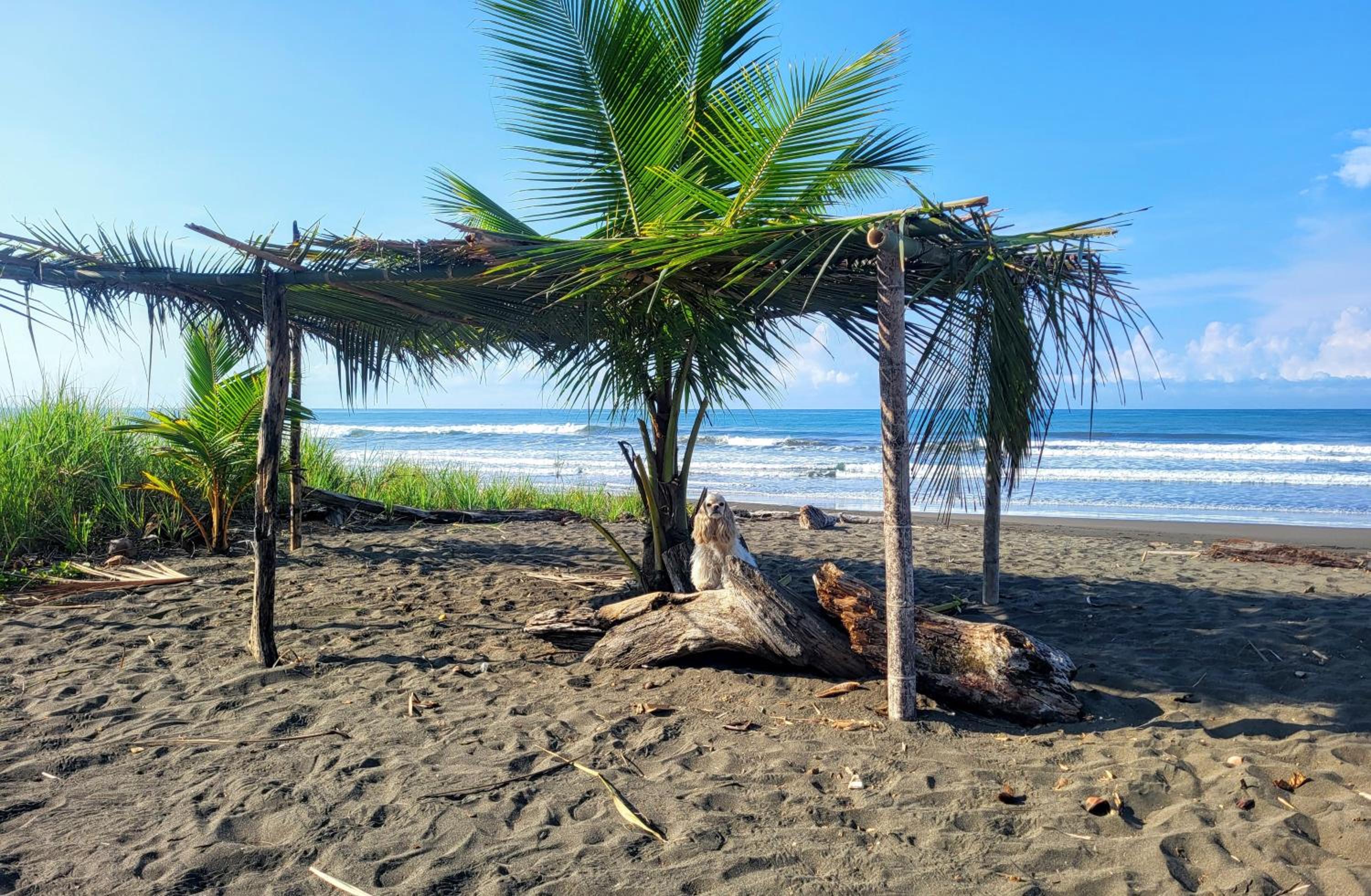 Villas Playa Palo Seco
