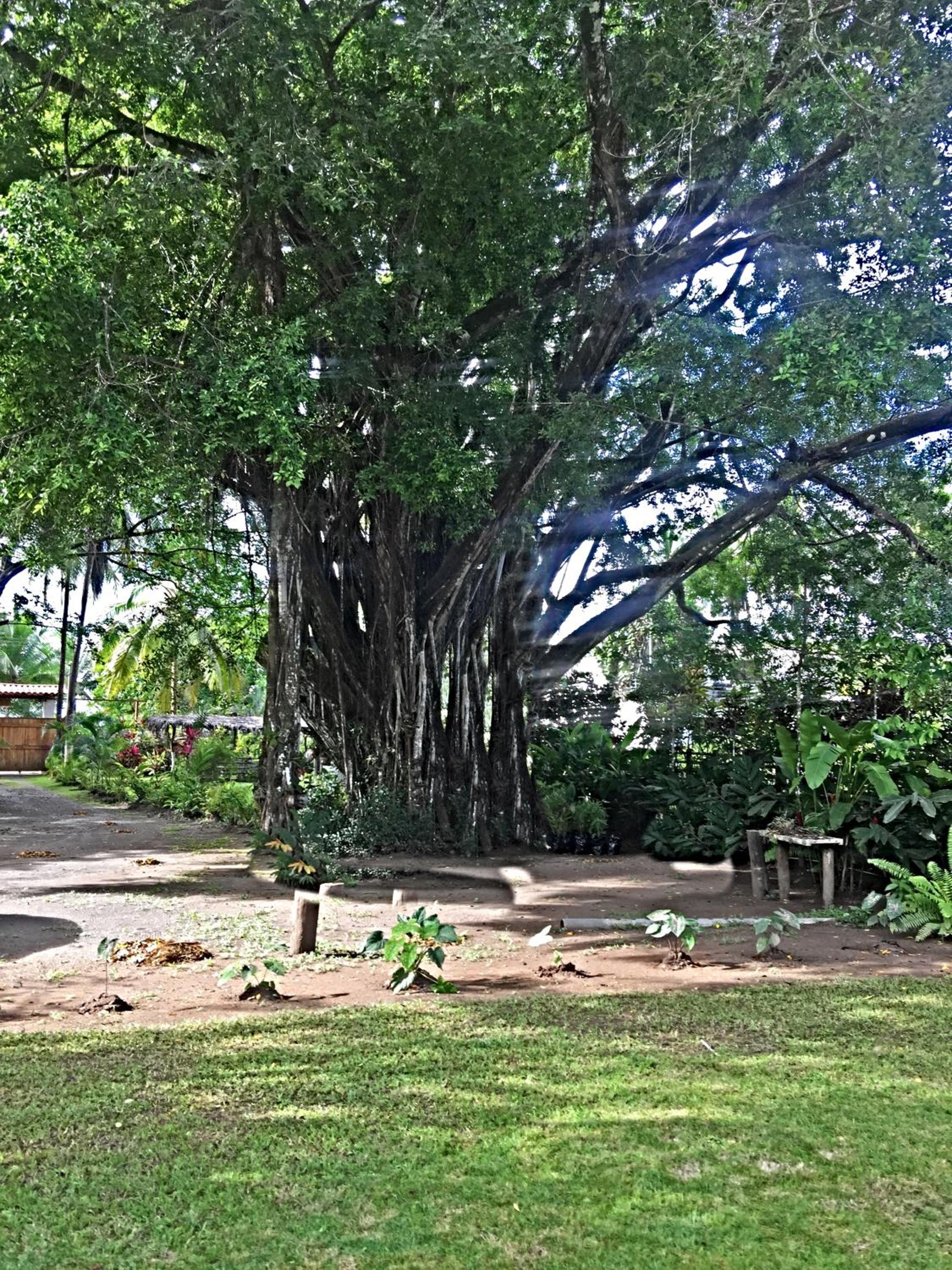 Villas Playa Palo Seco