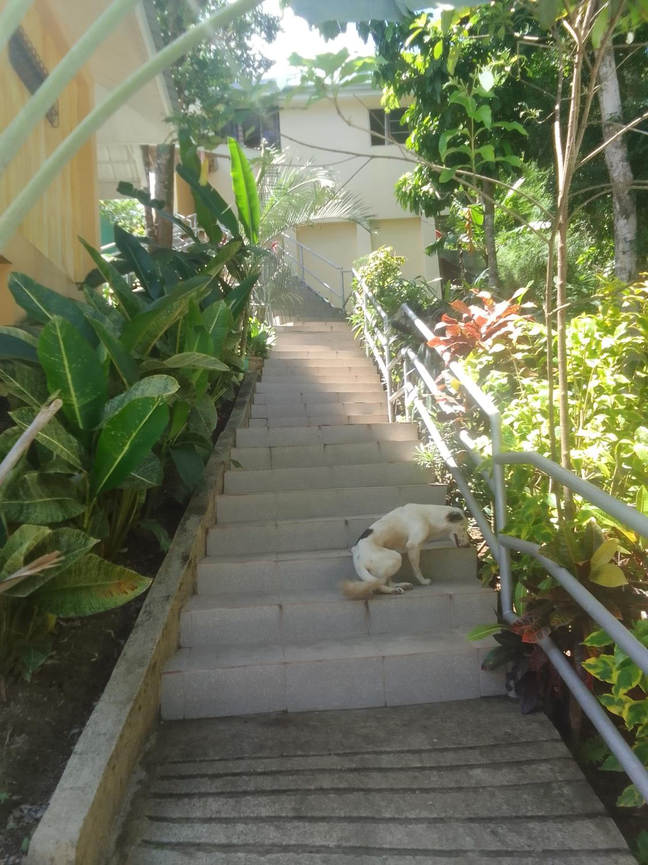 Photo 58
