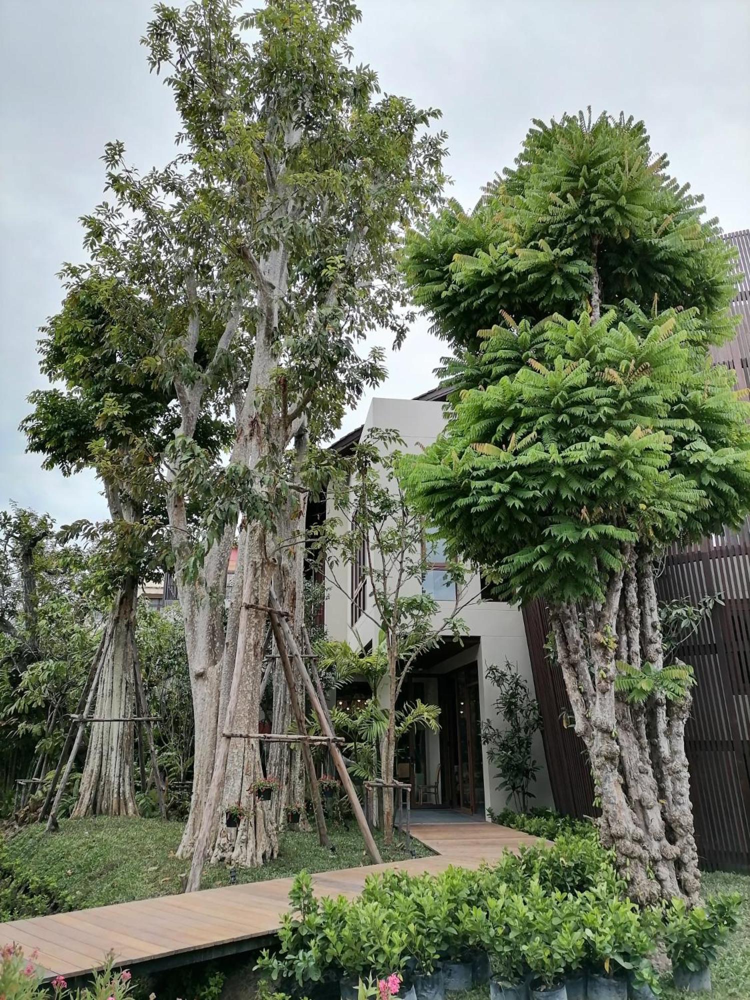 Rarin Villas