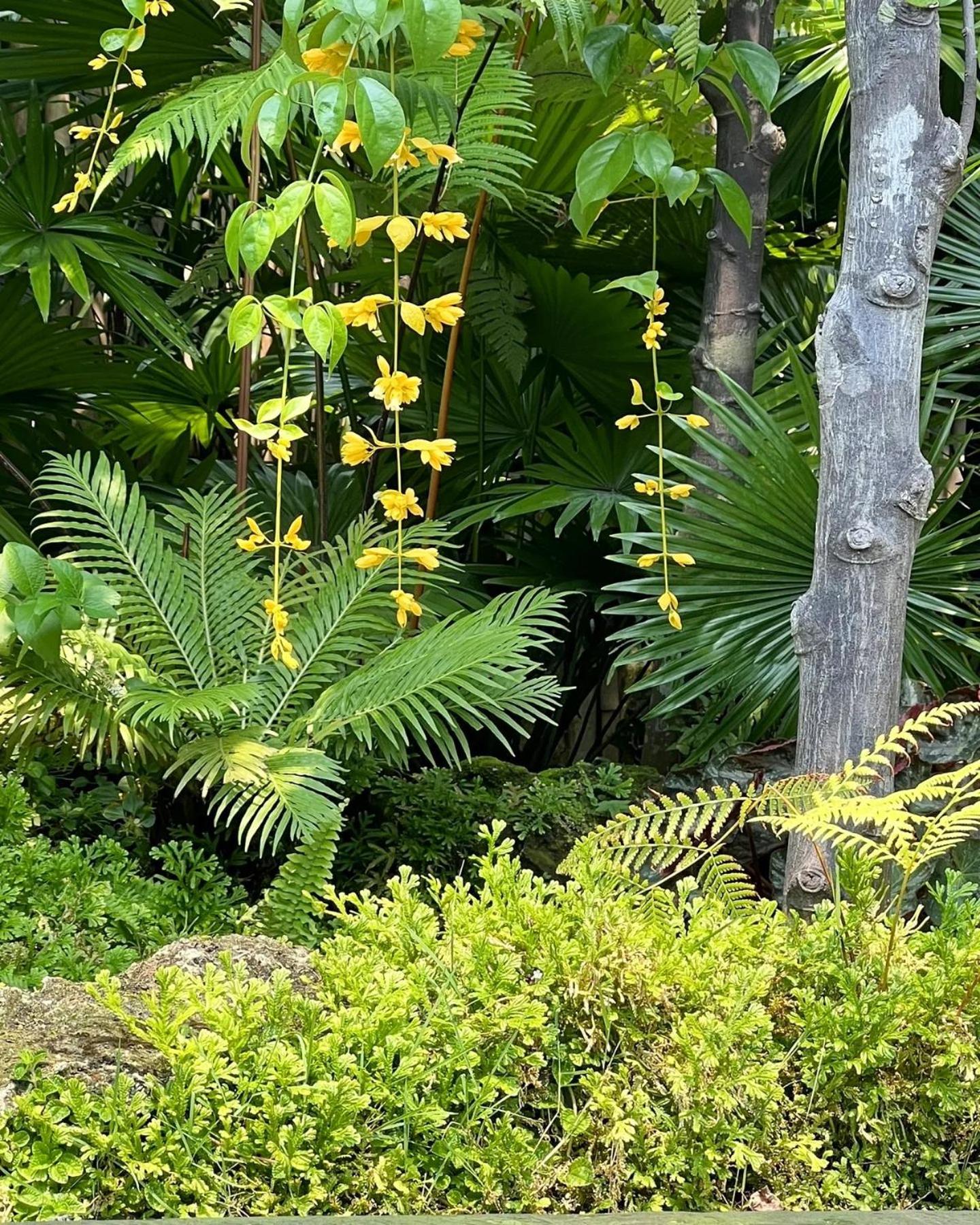 Rarin Villas