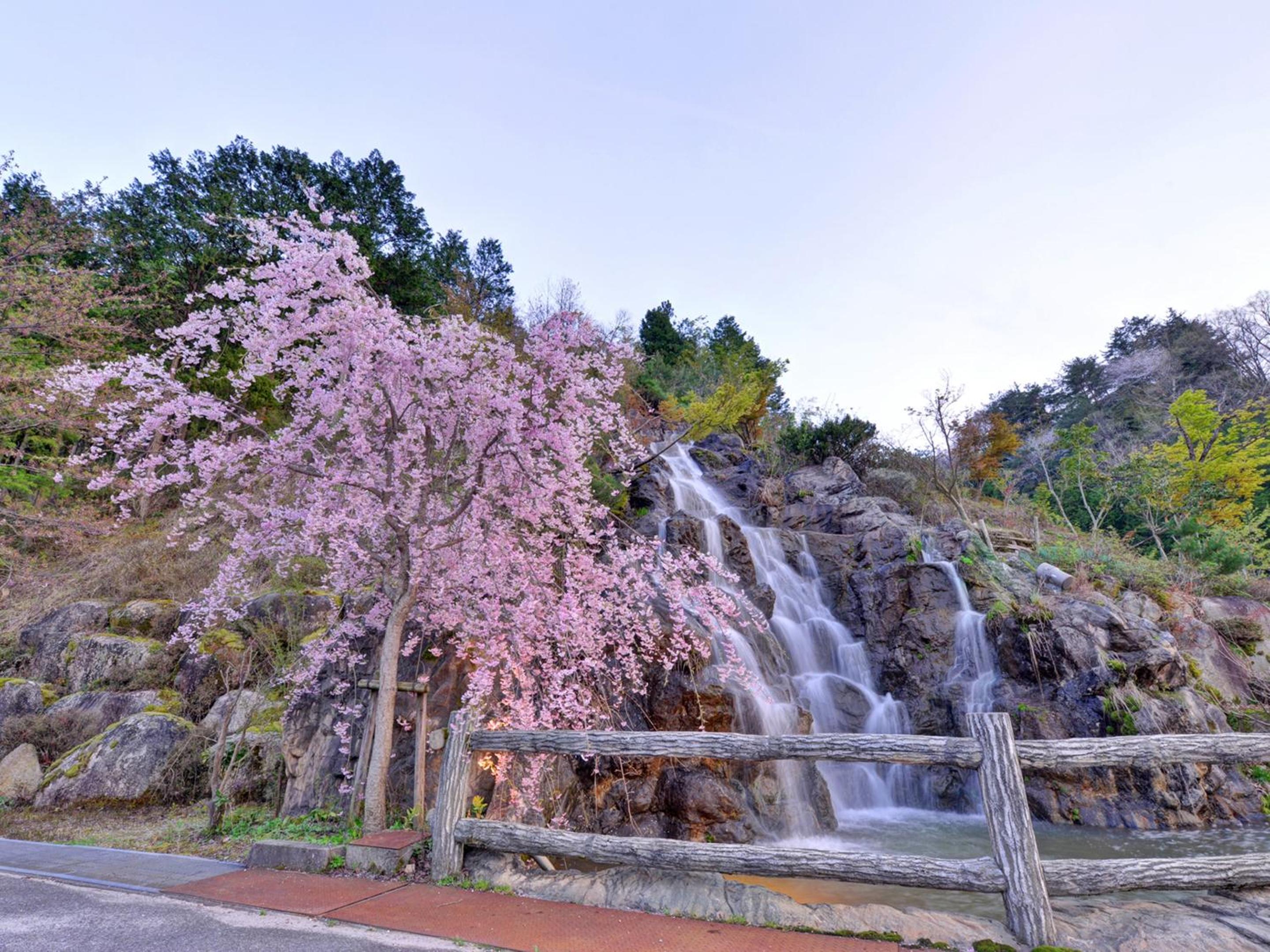 Fudouonsen Sawaya