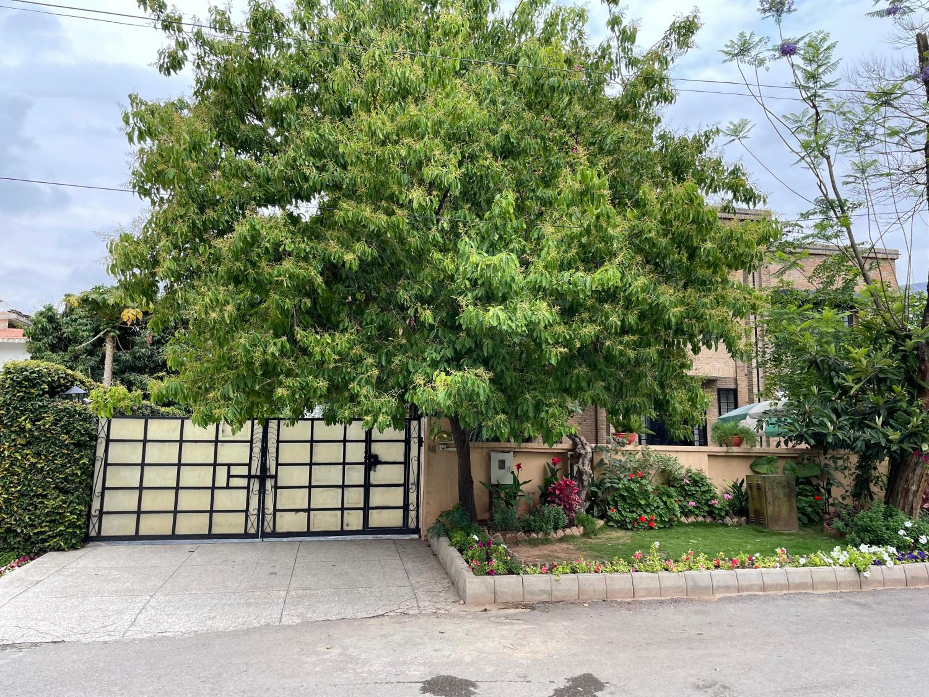 Riviera Courtyard Guest House Islamabad