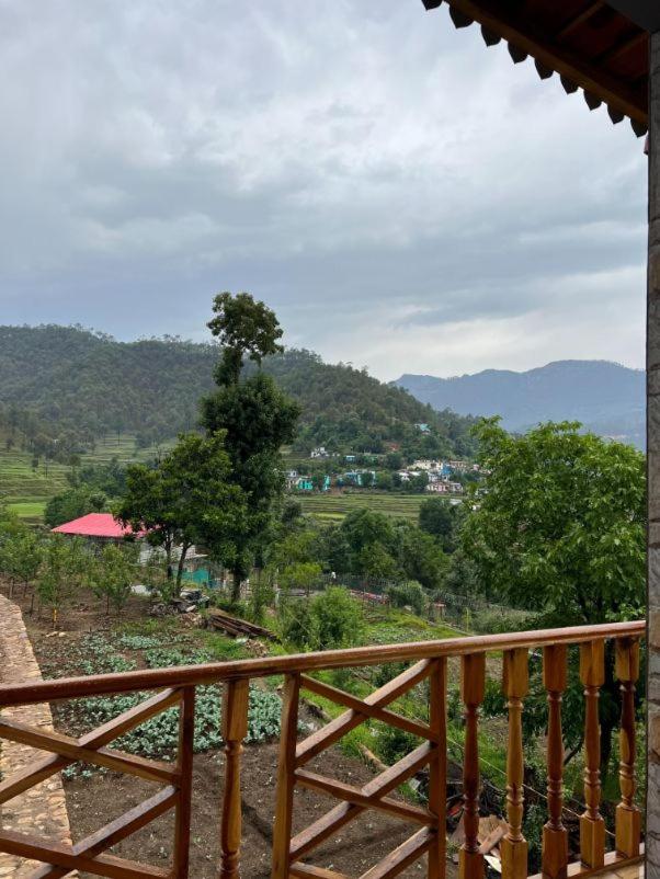 Cortland Jungle Resort view 3
