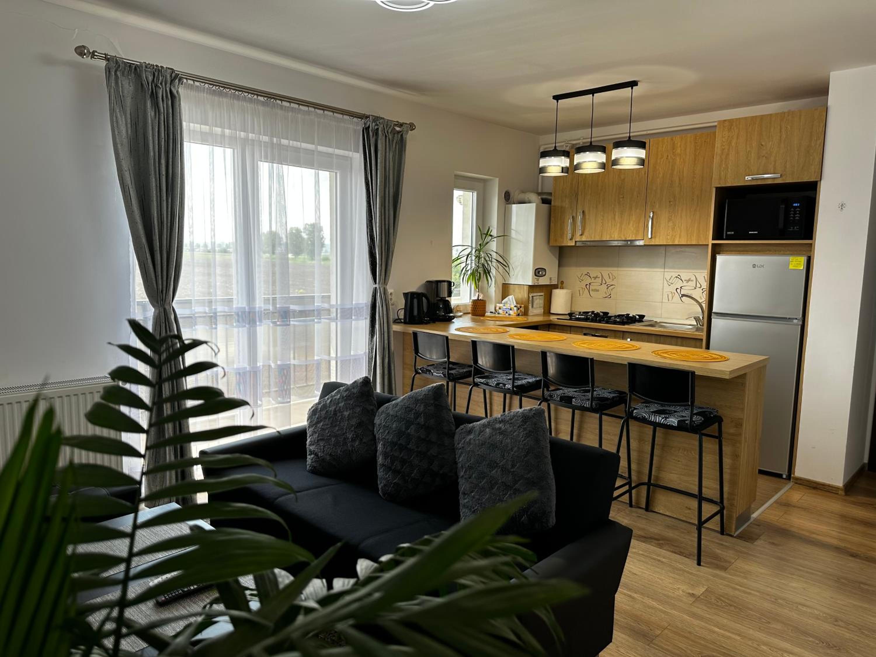 Apartament Elena view 3