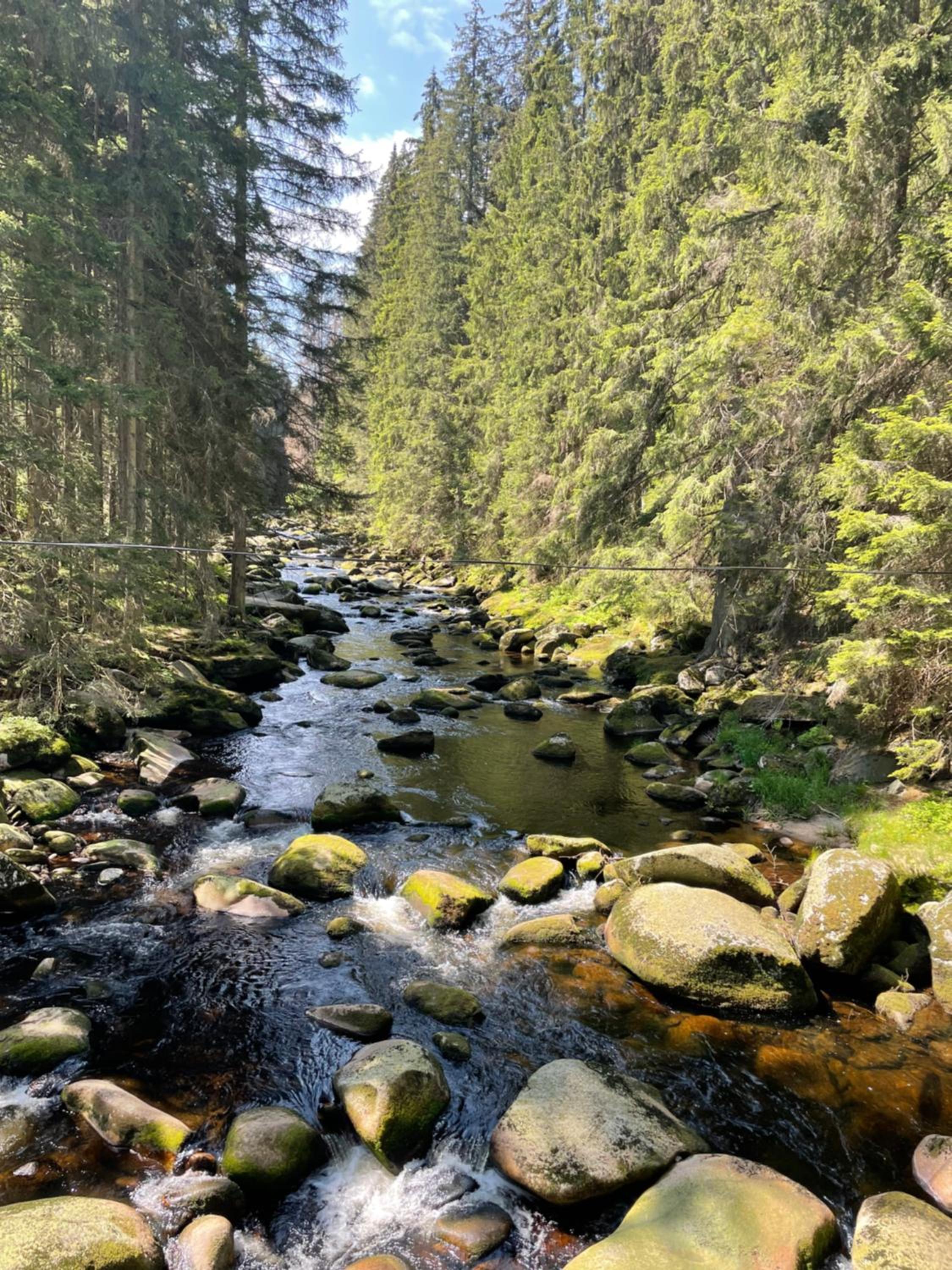 Kašperky