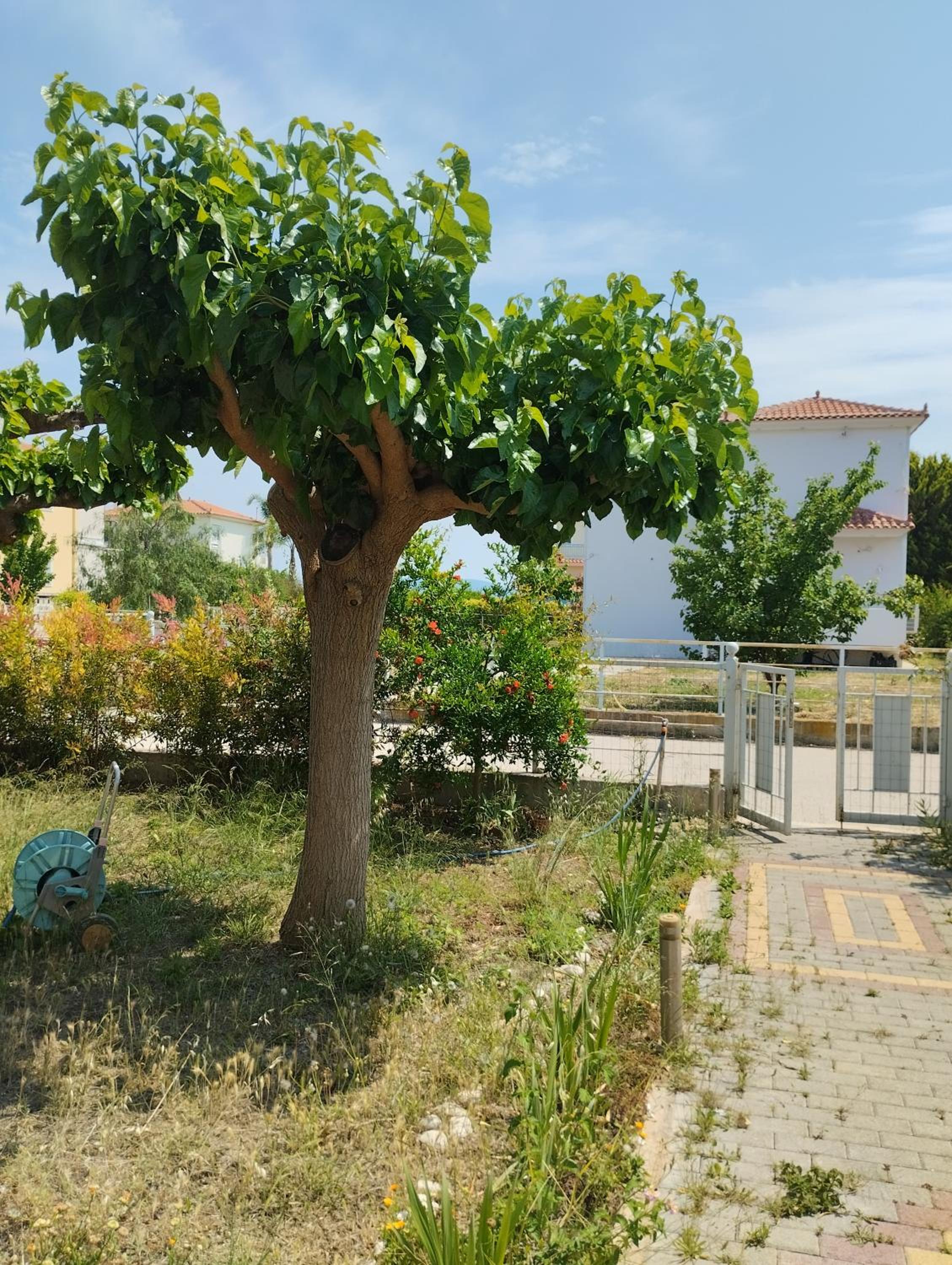 Calypso Two Bedroom Apartment