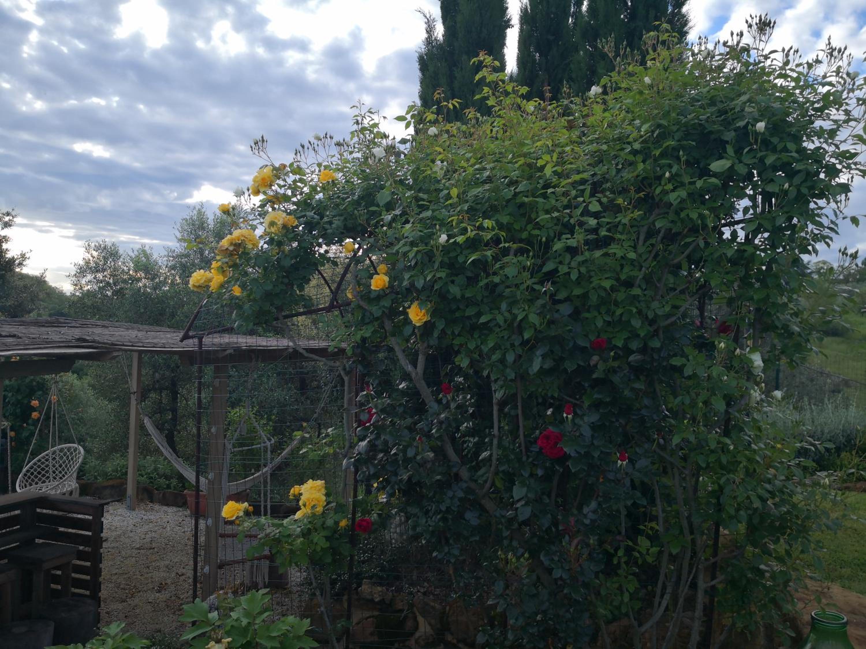 Photo 31