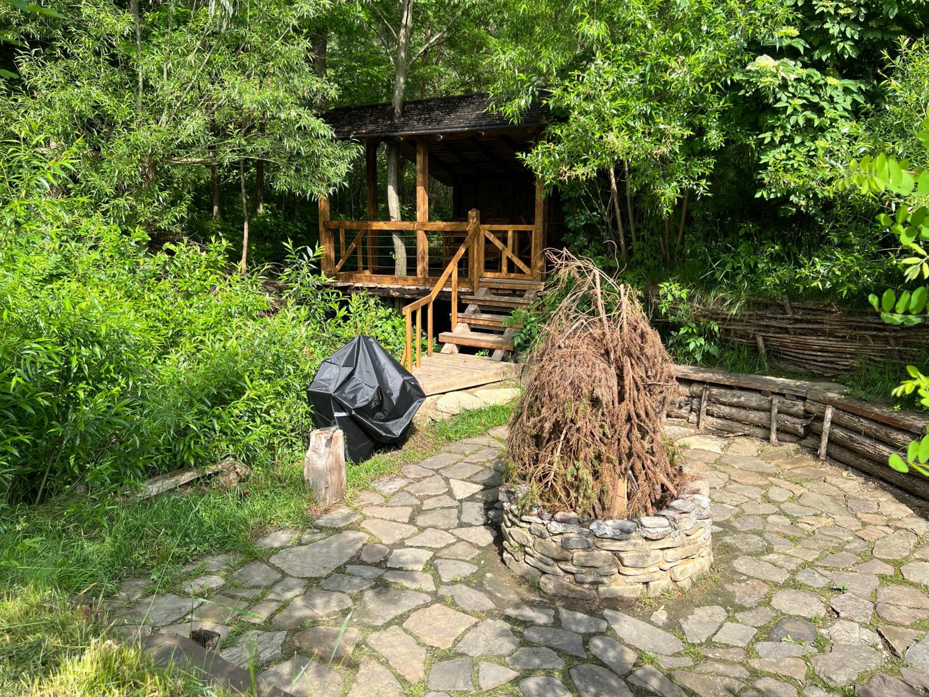 Photo 24