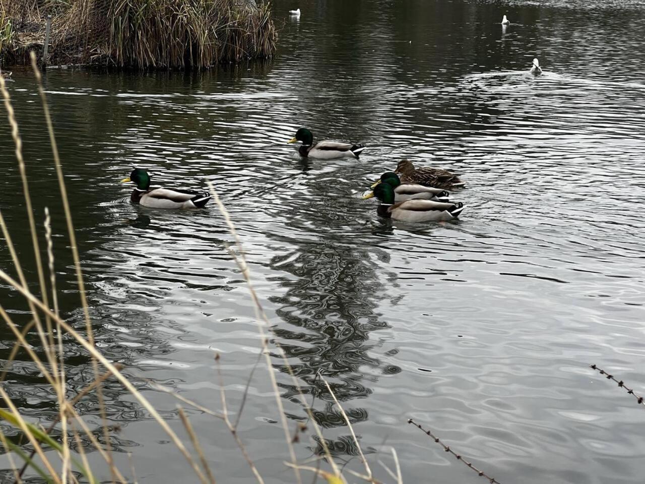 Photo 40