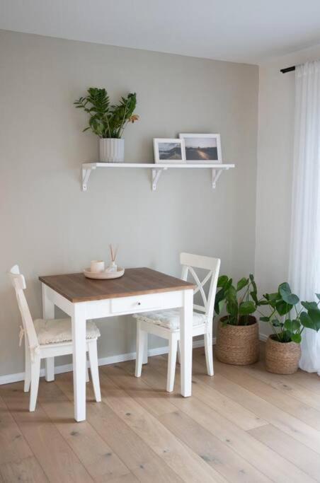1-Zimmer-Appartement, beste Lage