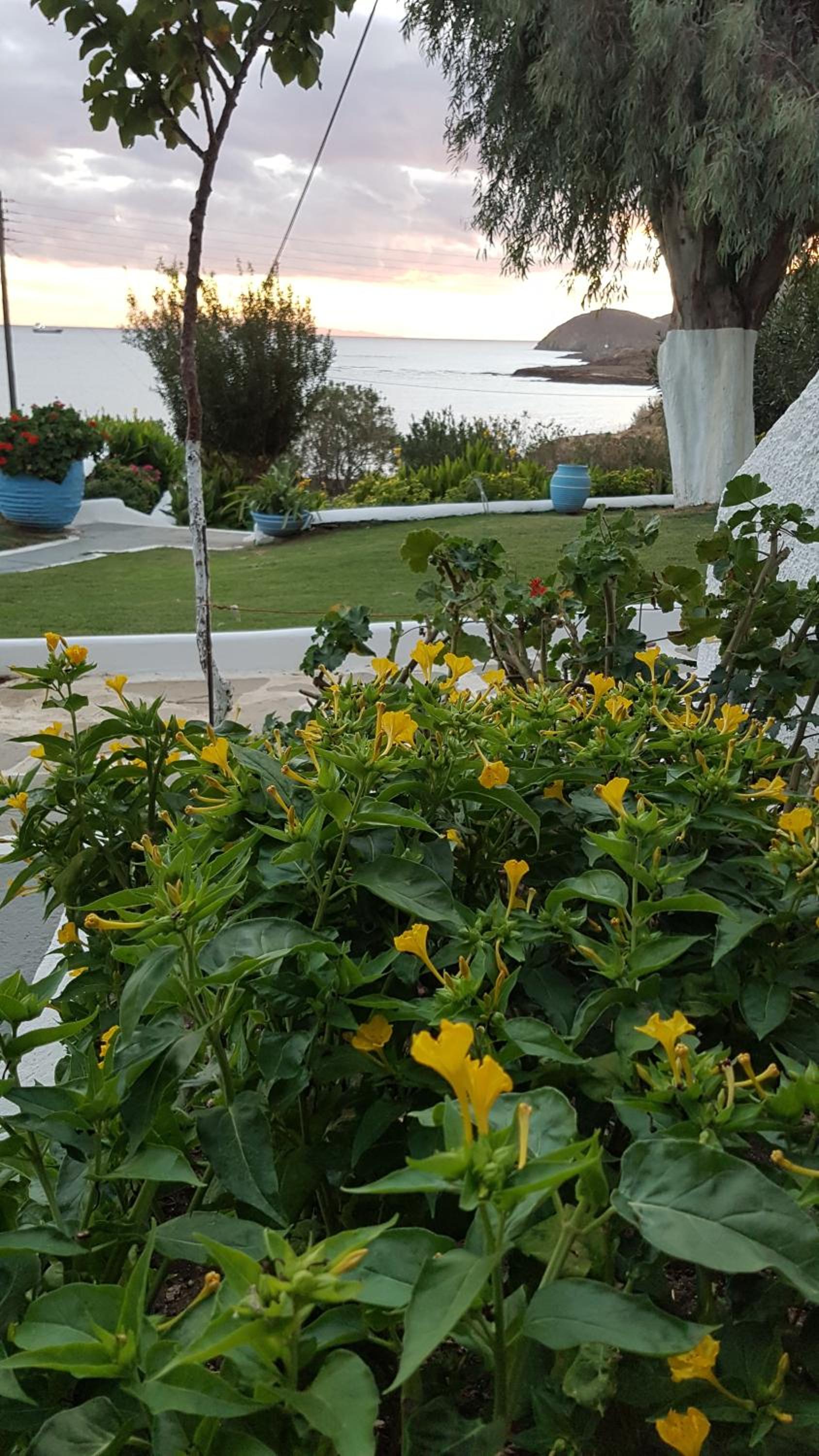 Chryssa Bungalows