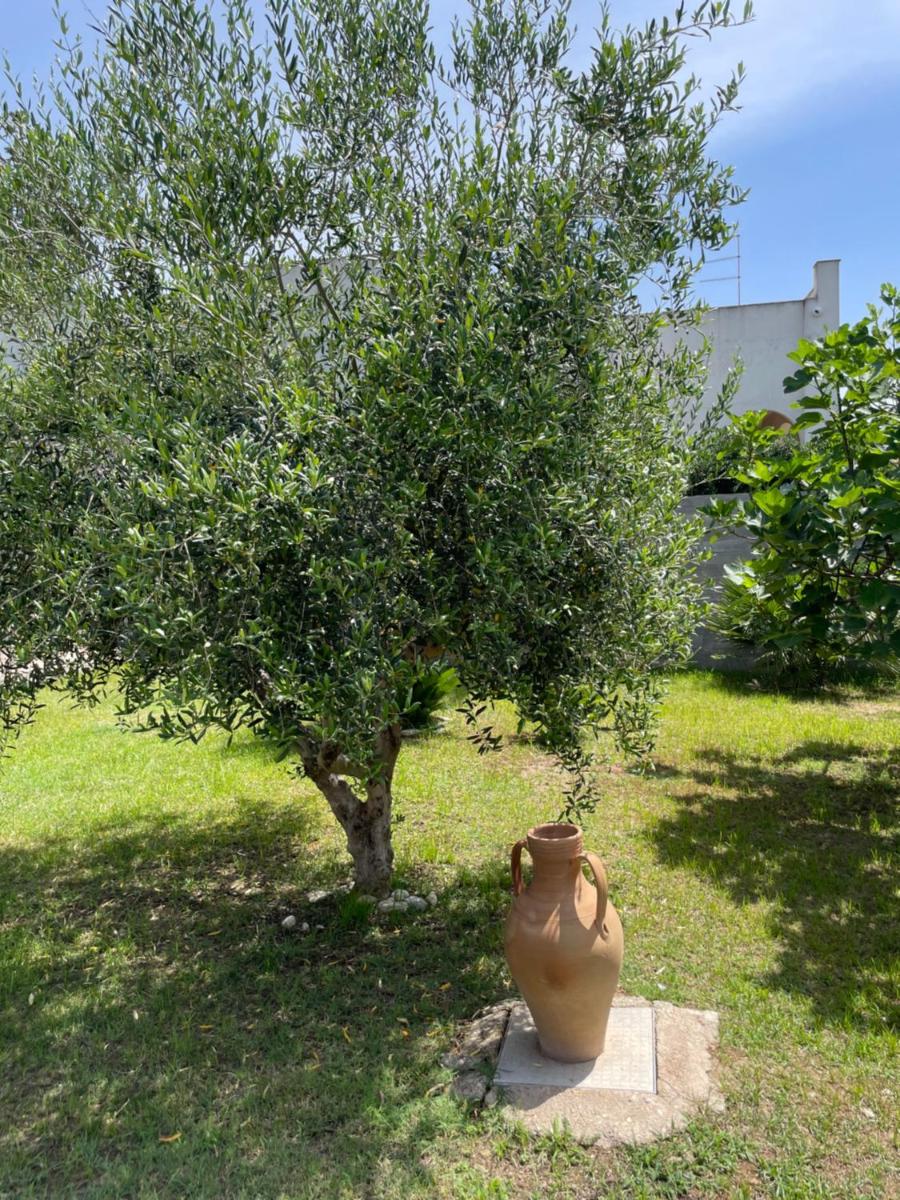 Photo 42