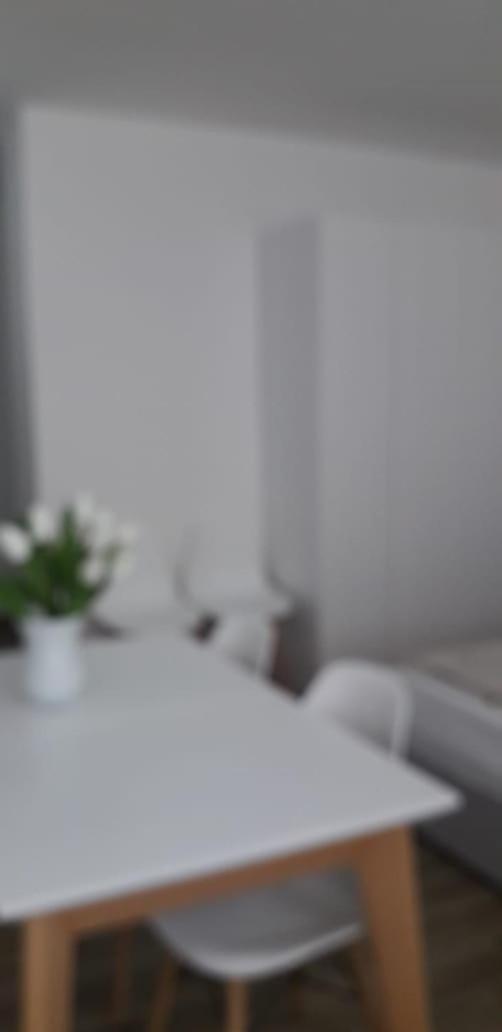 Joy Summer Apartment