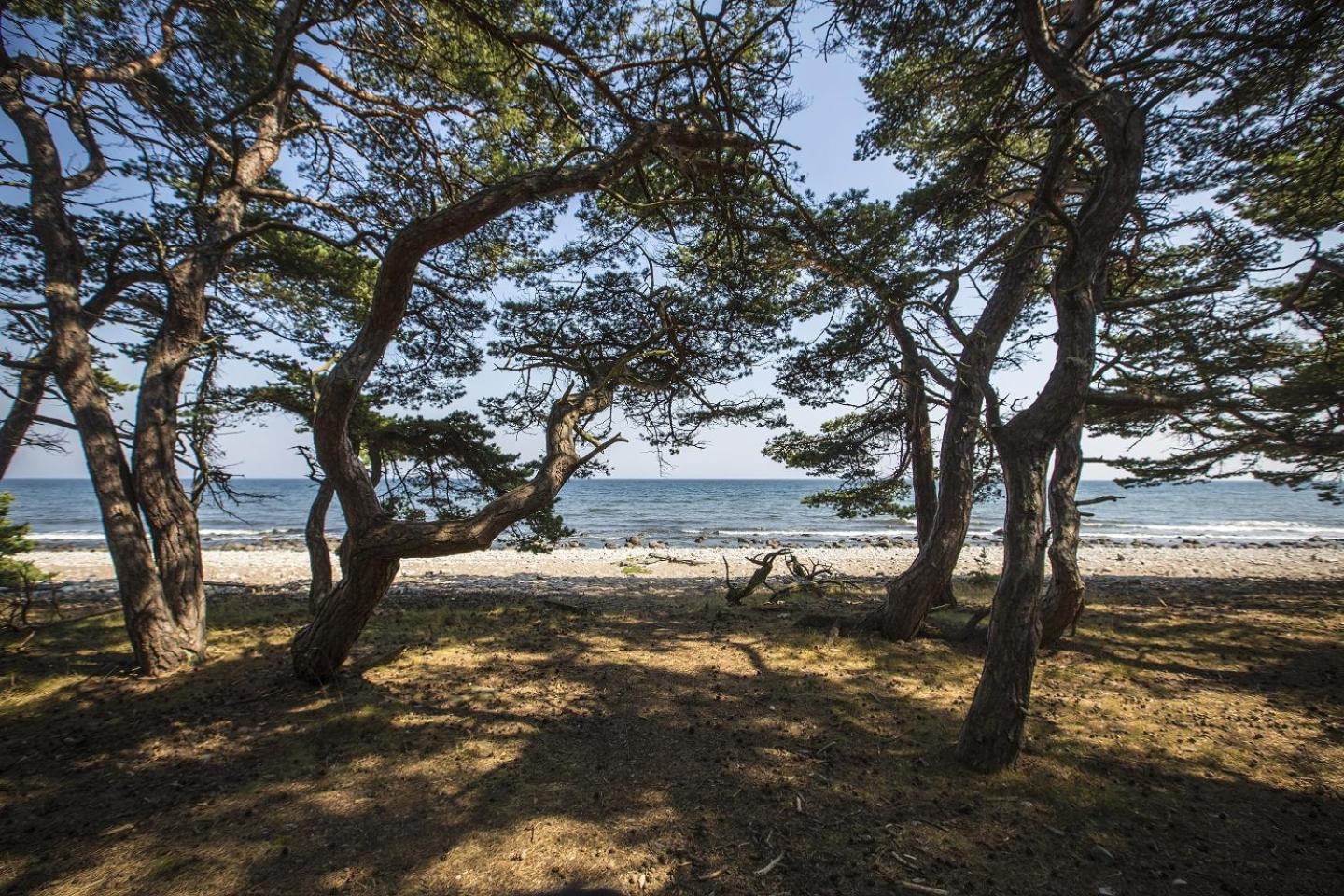 Lantgården Hagaby